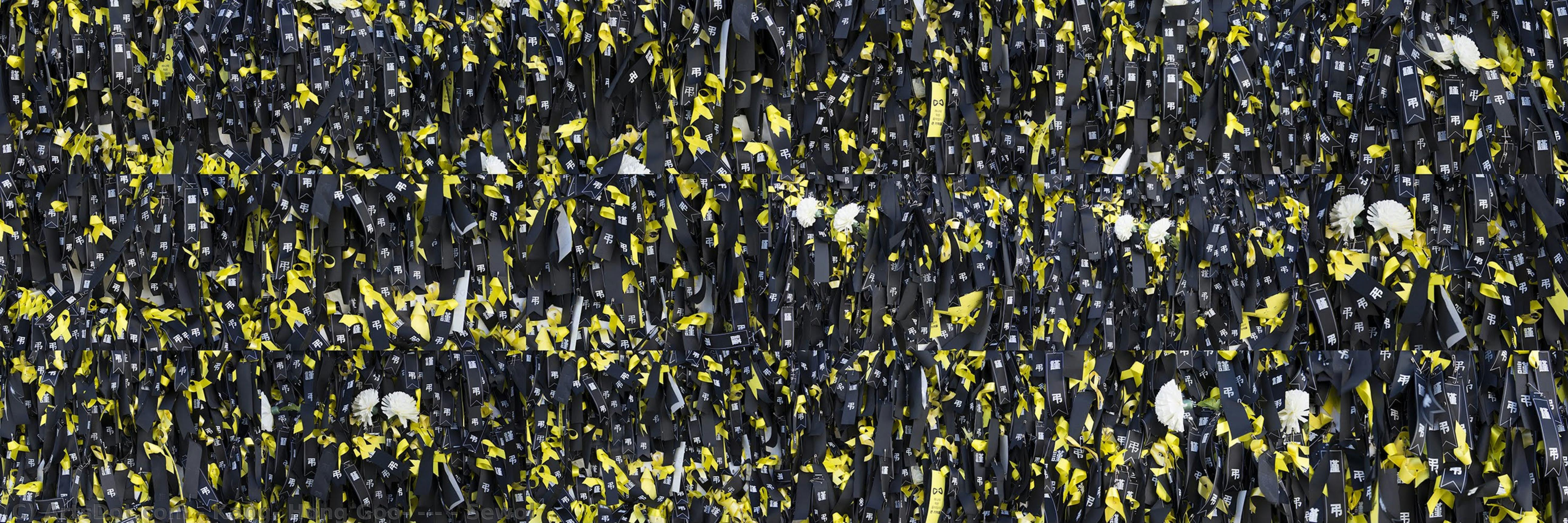Sewol — Kang, Hong Goo, 강홍구