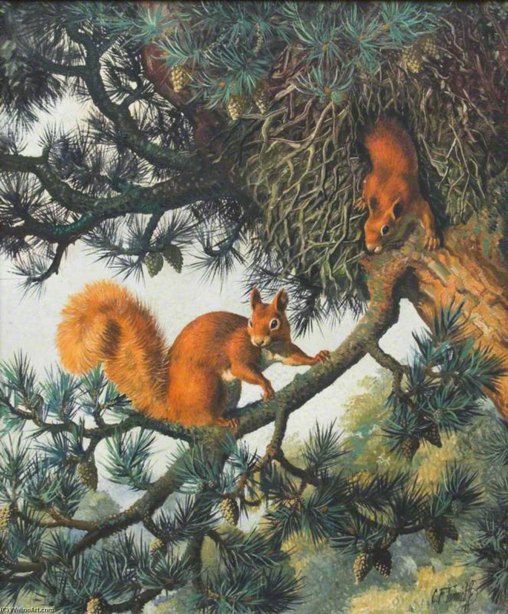 Red Squirrels — Charles Frederick Tunnicliffe