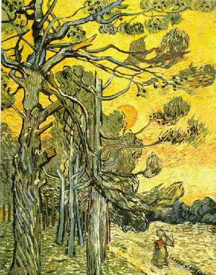 Dennenbomen Bij Zonsondergang — Vincent Willem Van Gogh