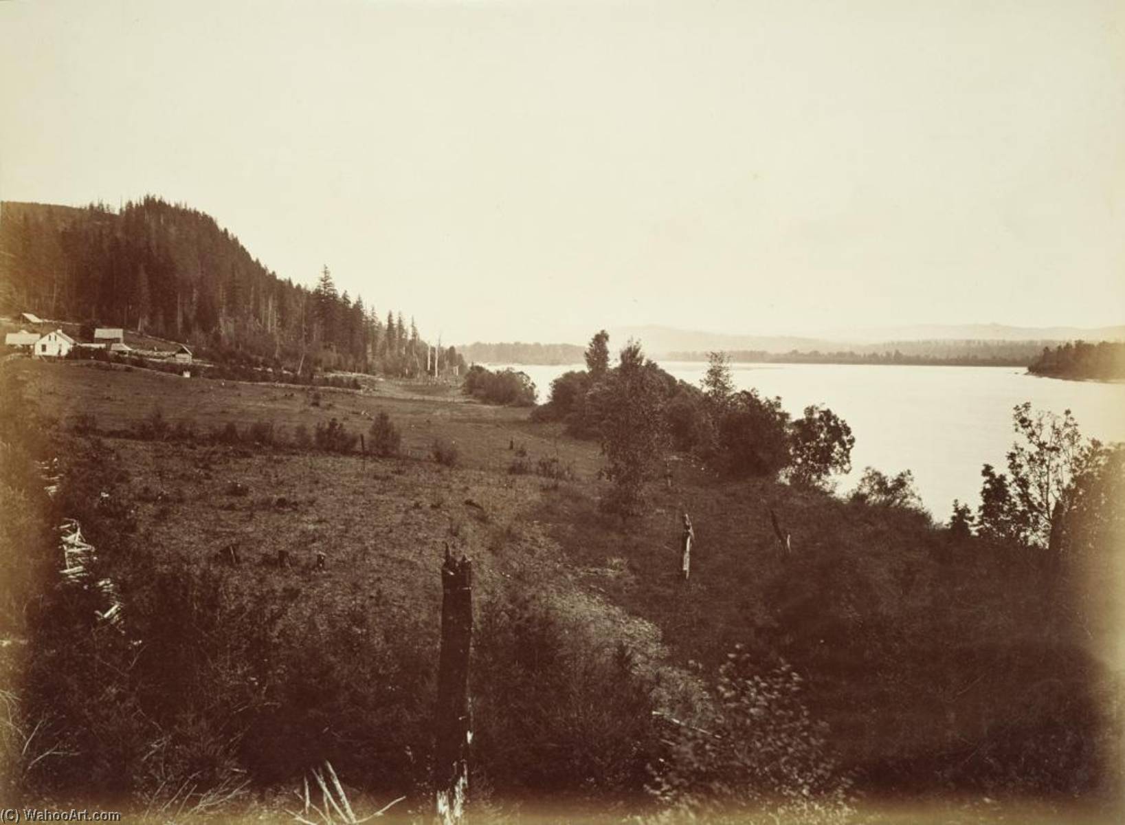 Untitled (aqtdjd) — Carleton Watkins