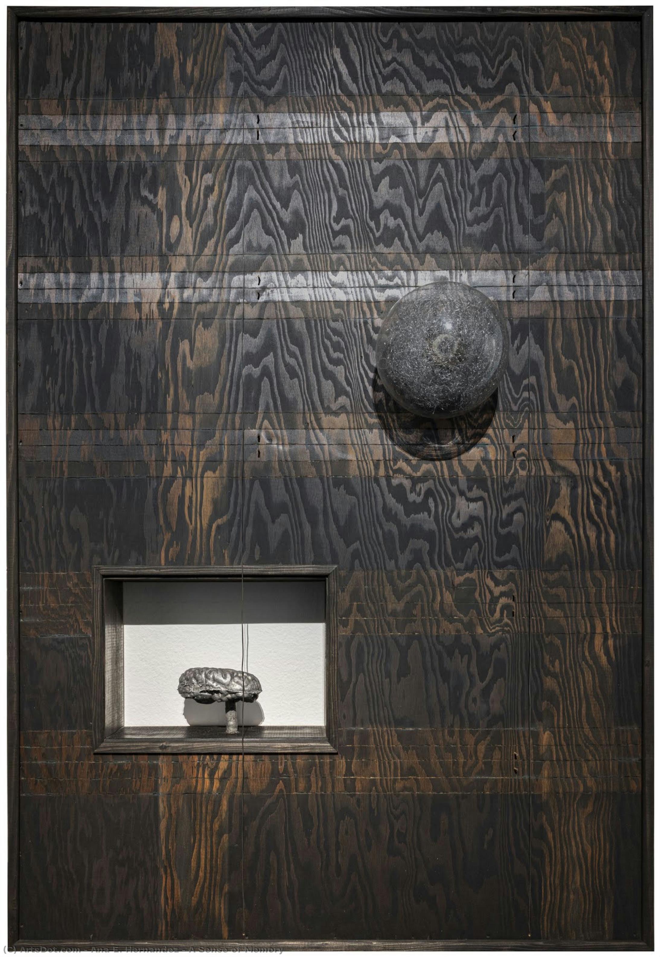 A Sense Of Memory — Ana E. Hernandez