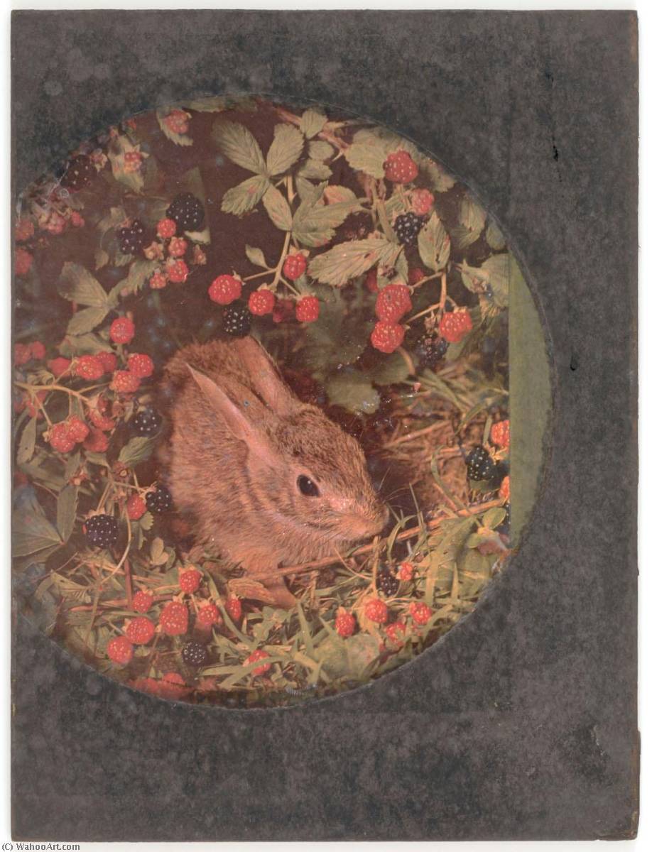 Untitled (rabbit In Raspberry Patch) — Joseph Cornell