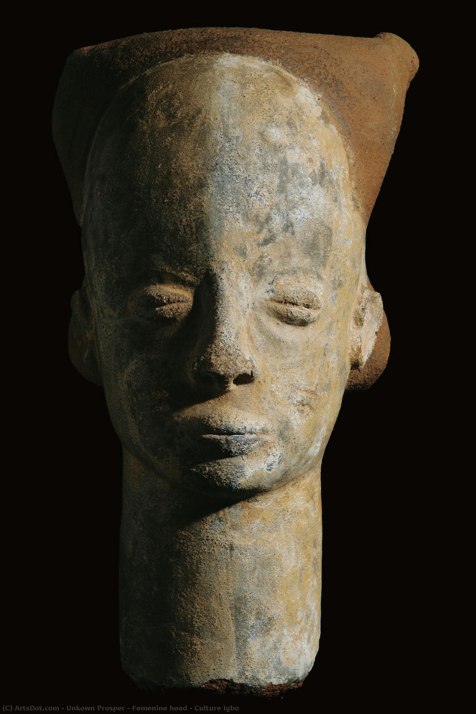 Femenine Head - Culture Igbo — Unkown Prosper