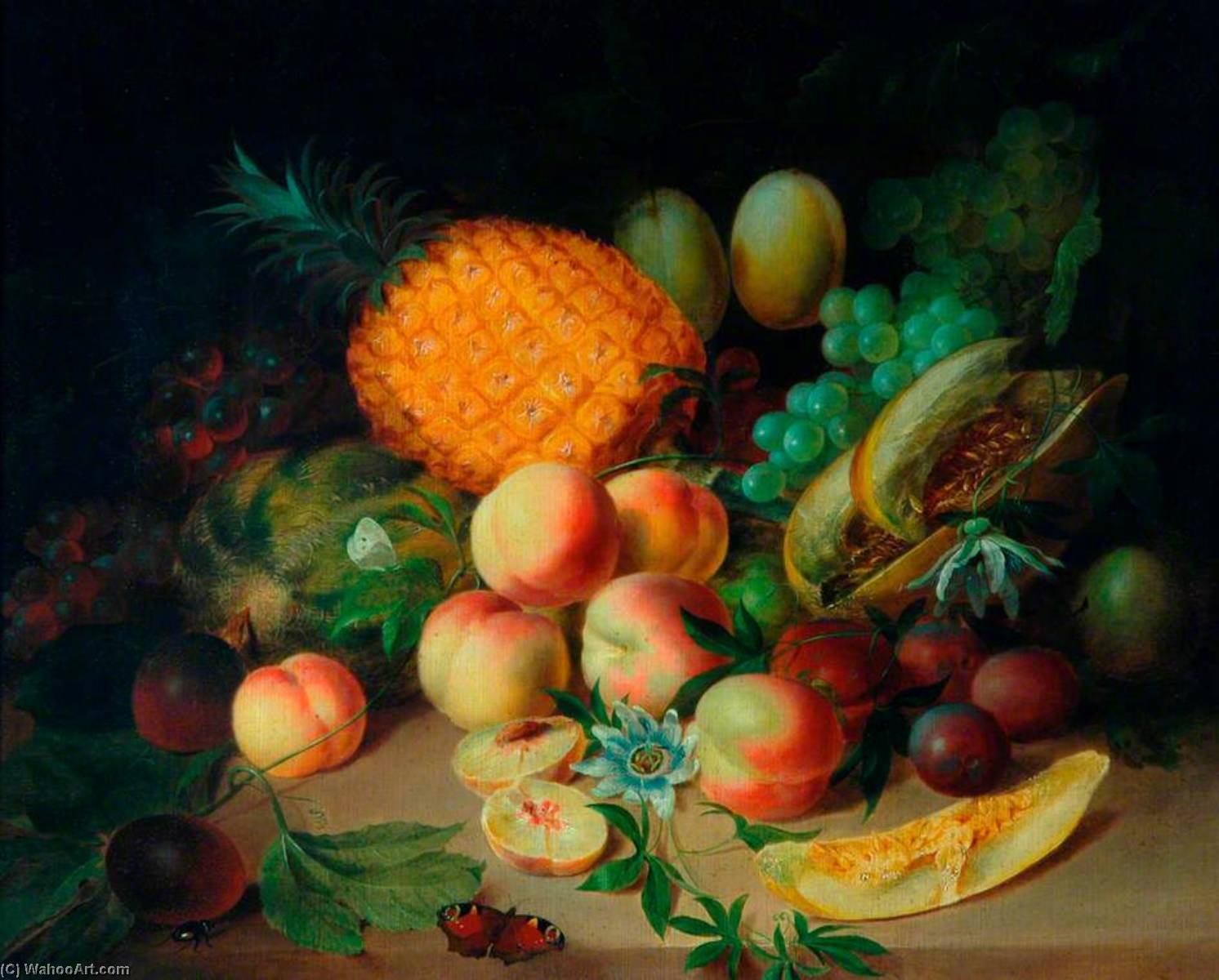 Fruit Study — John N Rhodes