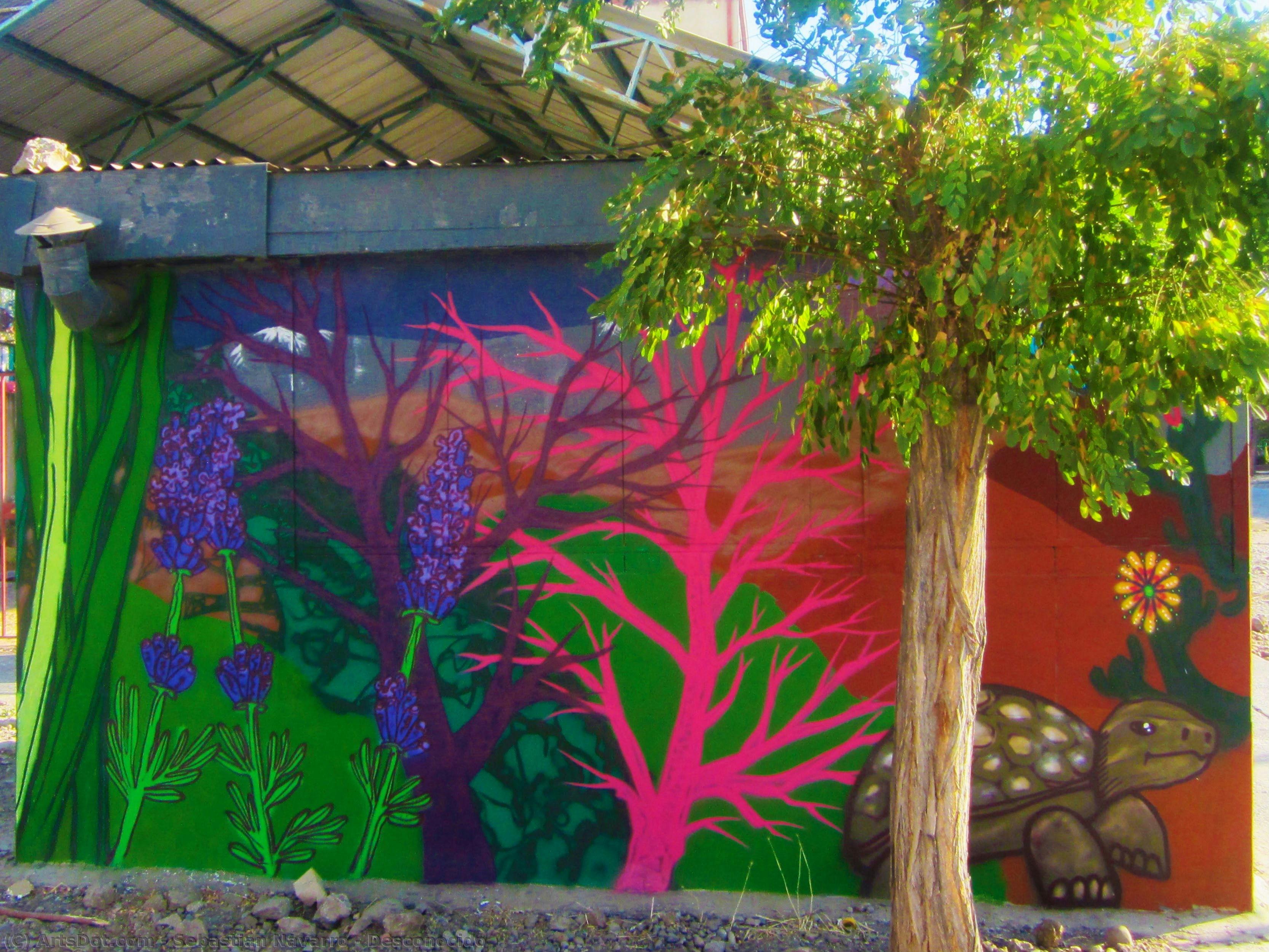 Desconocido — Sebastián Navarro