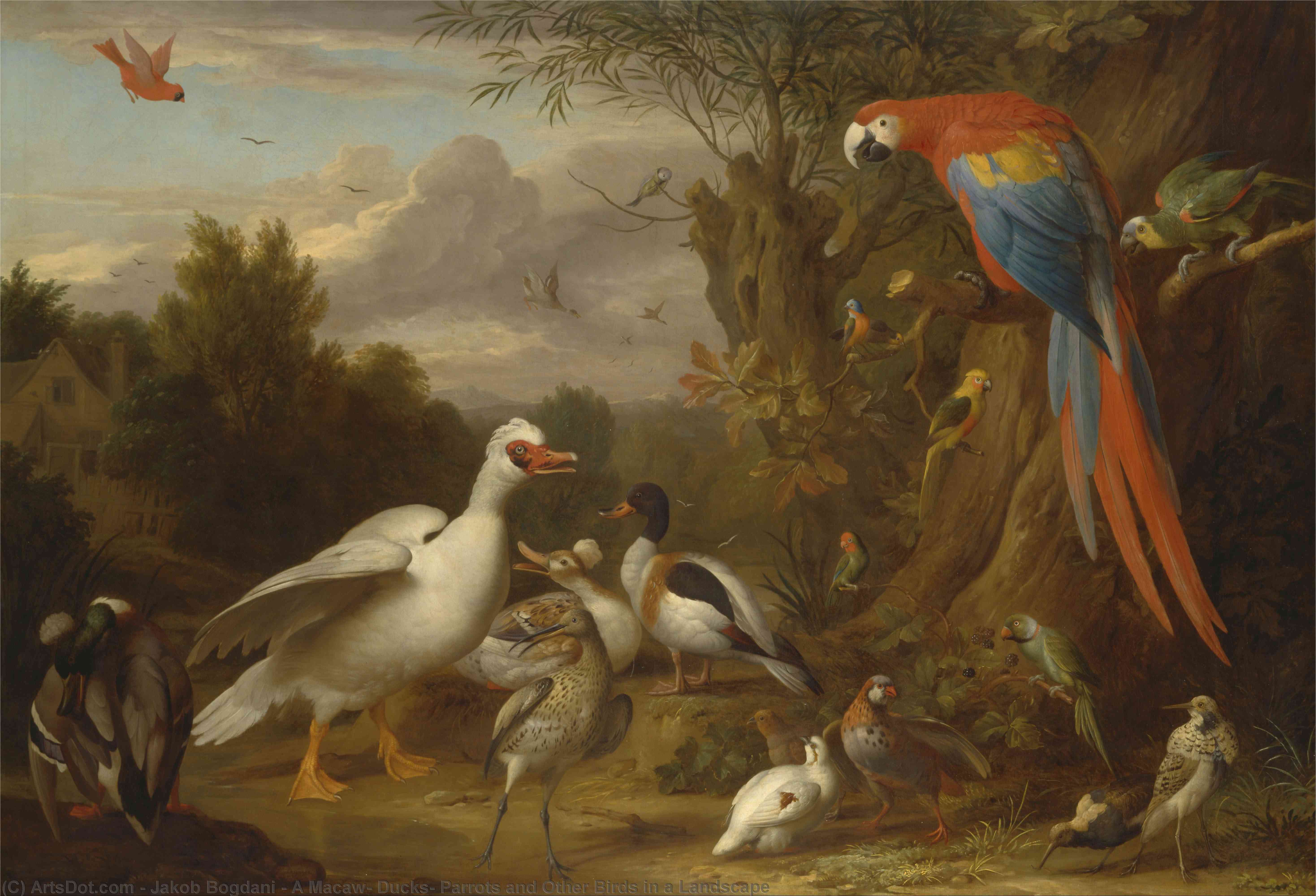 A Macaw, Ducks, Parrots And Other Birds In A Landscape — Jakob Bogdani