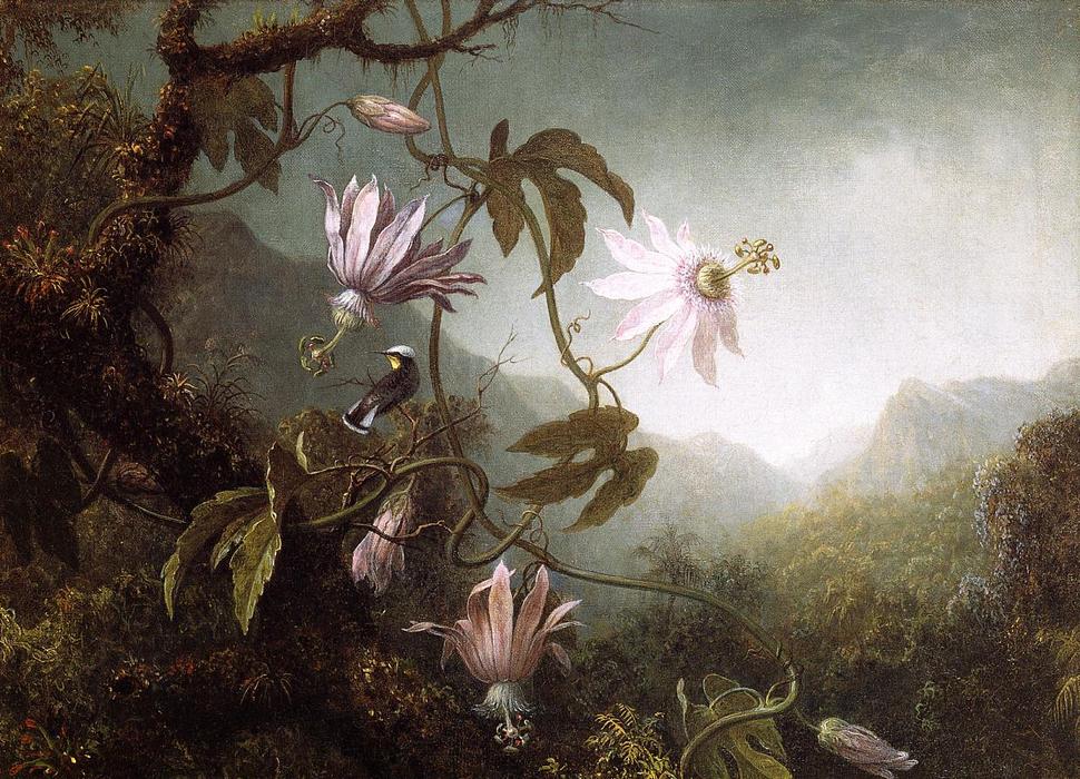 Hummingbird Perched Near Passion Flowers — Martin Johnson Heade
