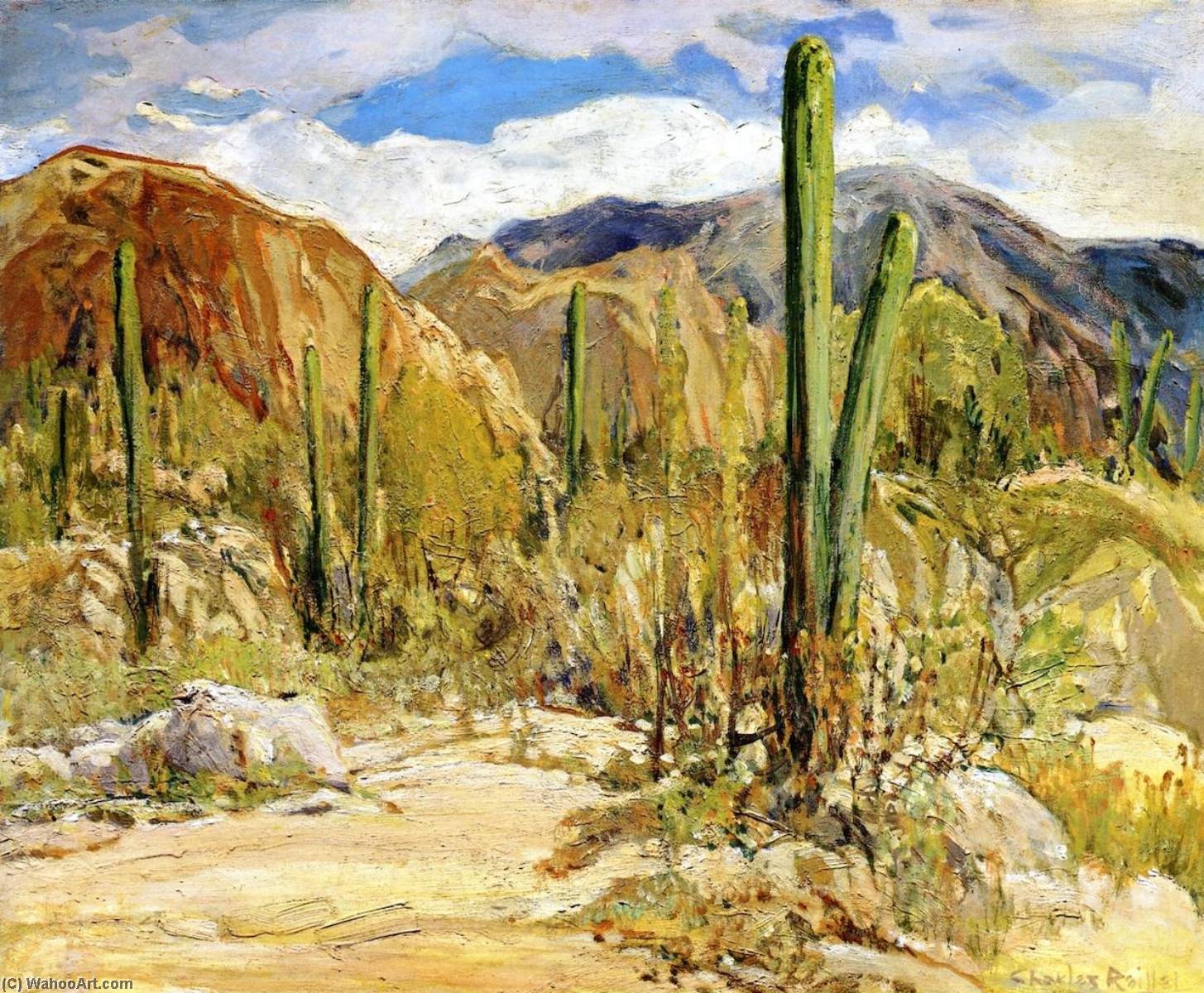 Giant Cacti Arizona — Charles Reiffel