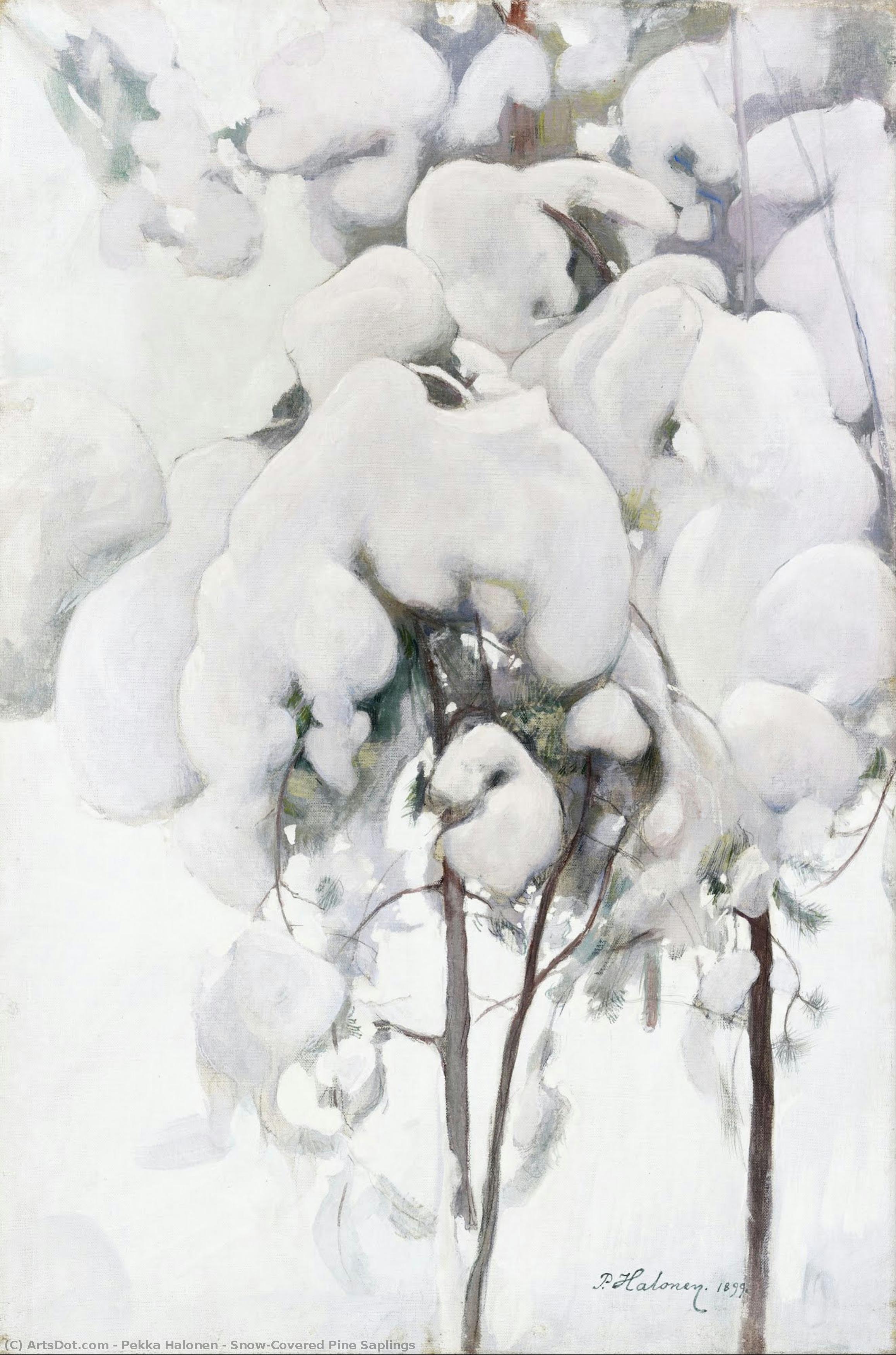 Snow-covered Pine Saplings — Pekka Halonen
