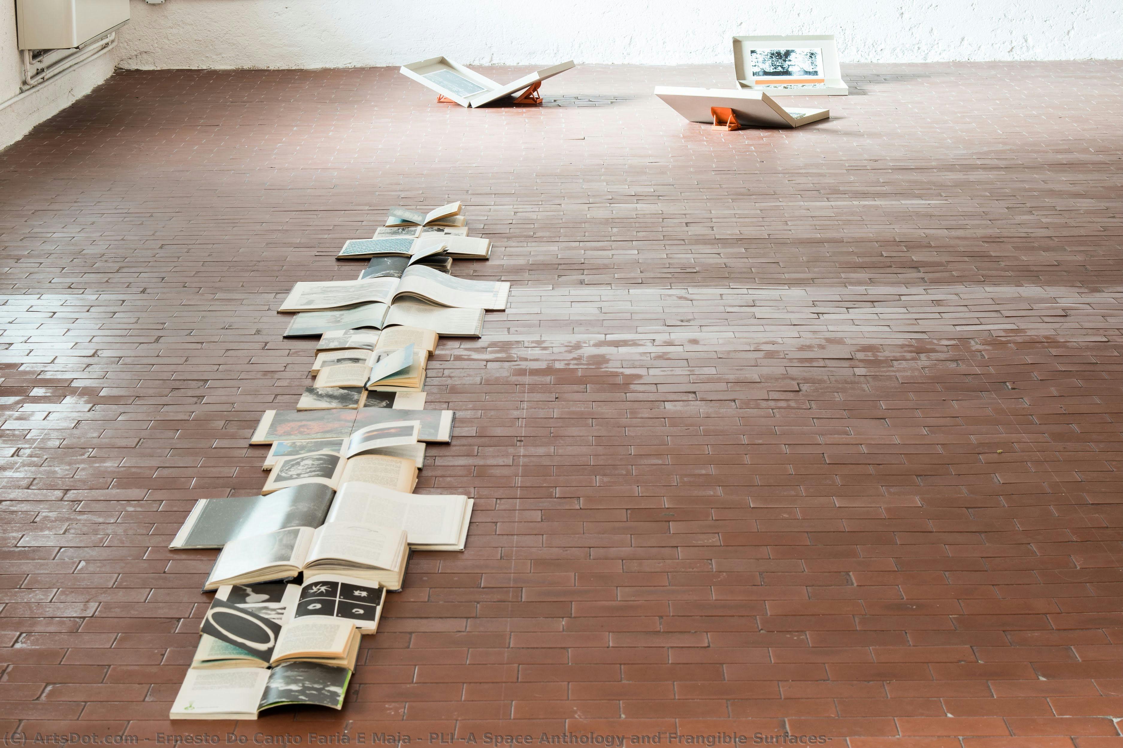 Pli (a Space Anthology And Frangible Surfaces) — Ernesto Do Canto Faria E Maia