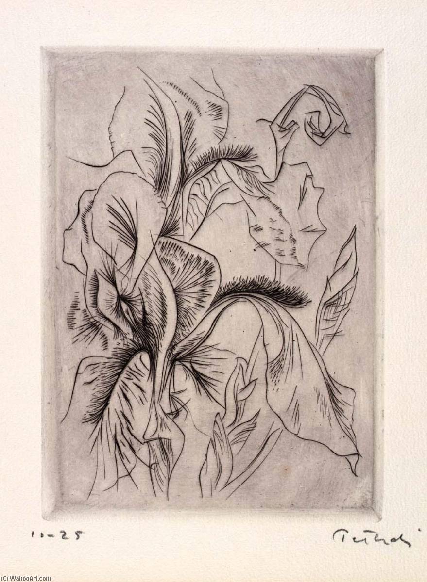 Iris, From The Portfolio Of Earth And Water — Gabor Peterdi