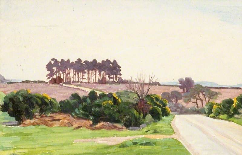 Landscape With A Clump Of Pines — Myrtle Broome