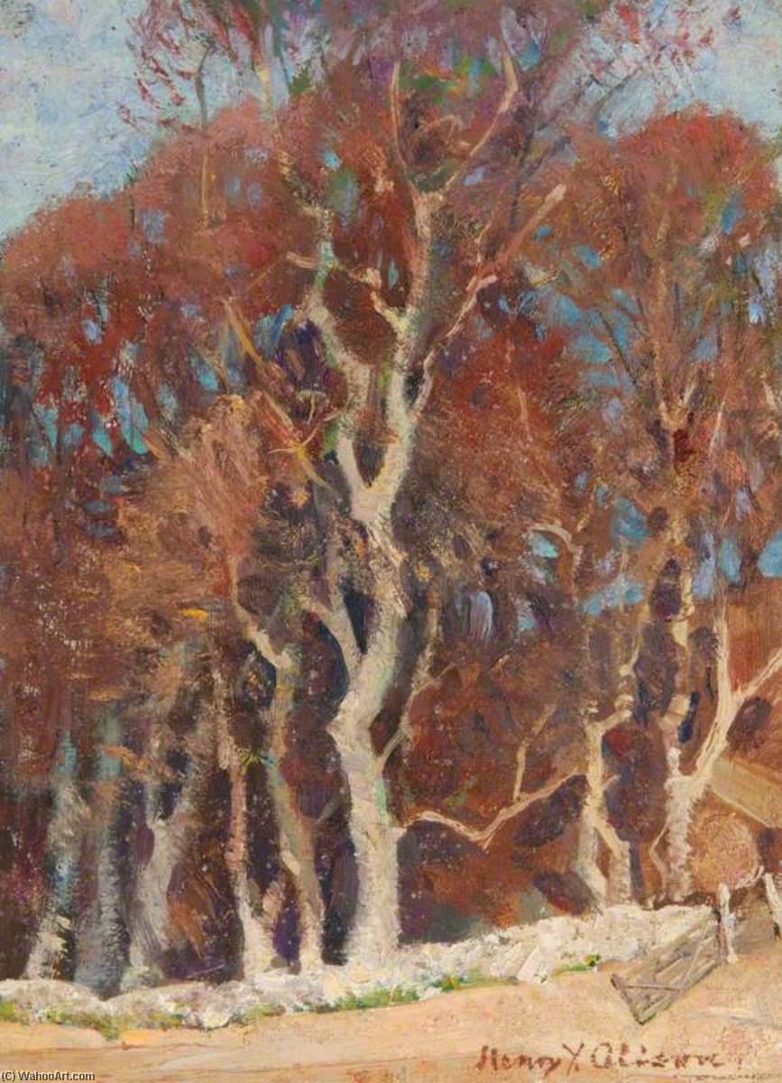 Study Of Trees — Henry Young Alison