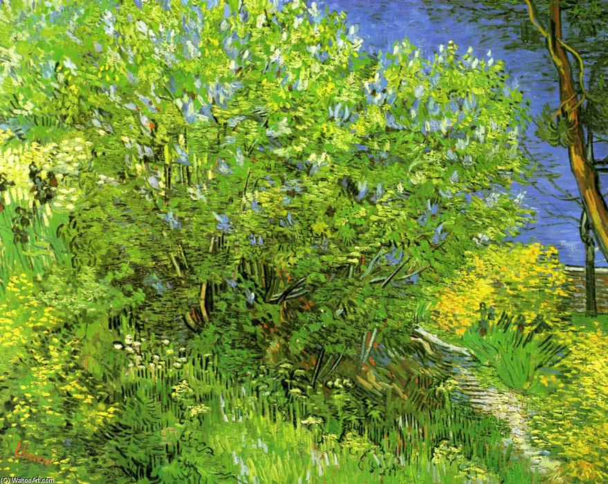 Lilacs — Vincent Van Gog