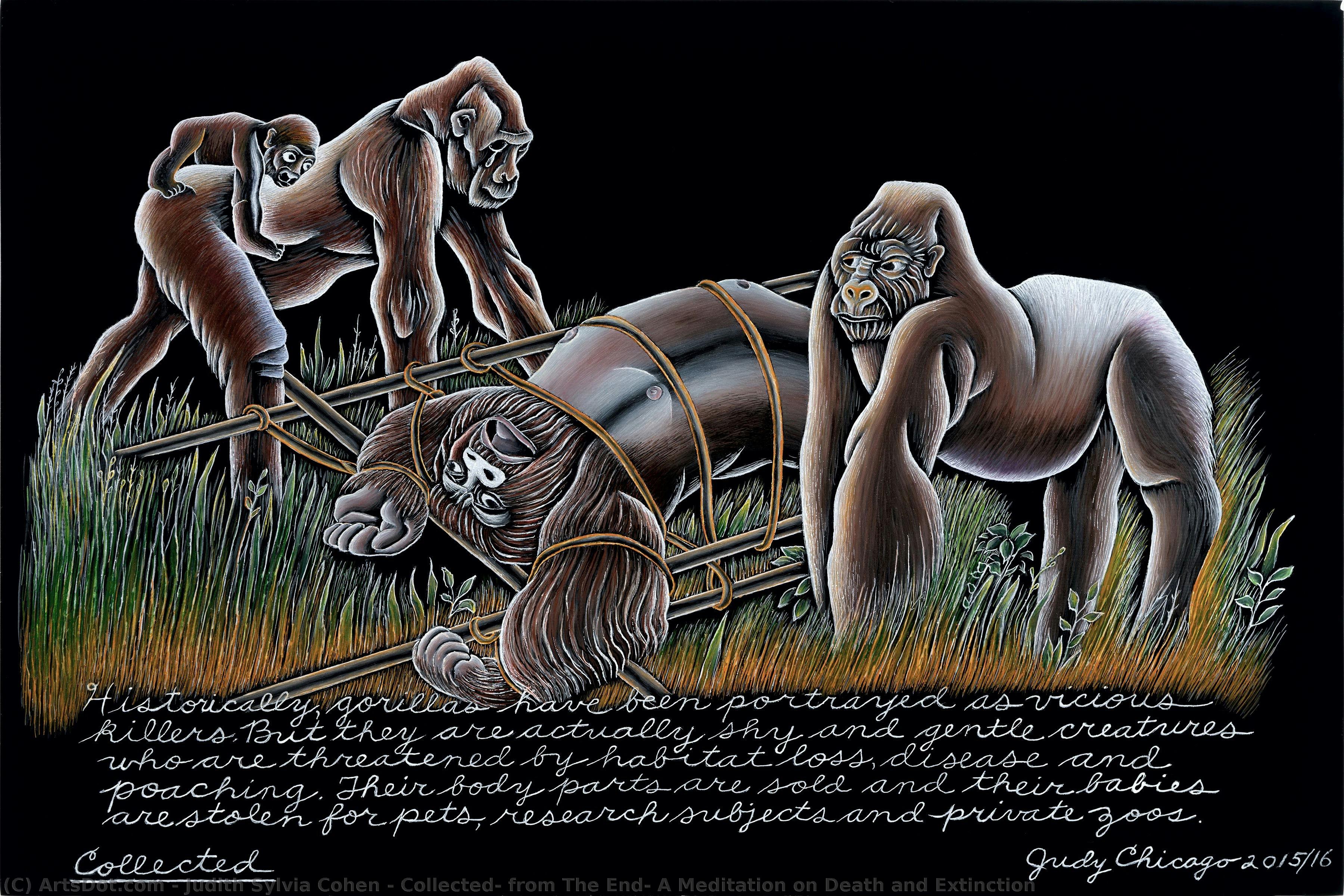 Collected, From The End: A Meditation On Death And Extinction — Judith Sylvia Cohen