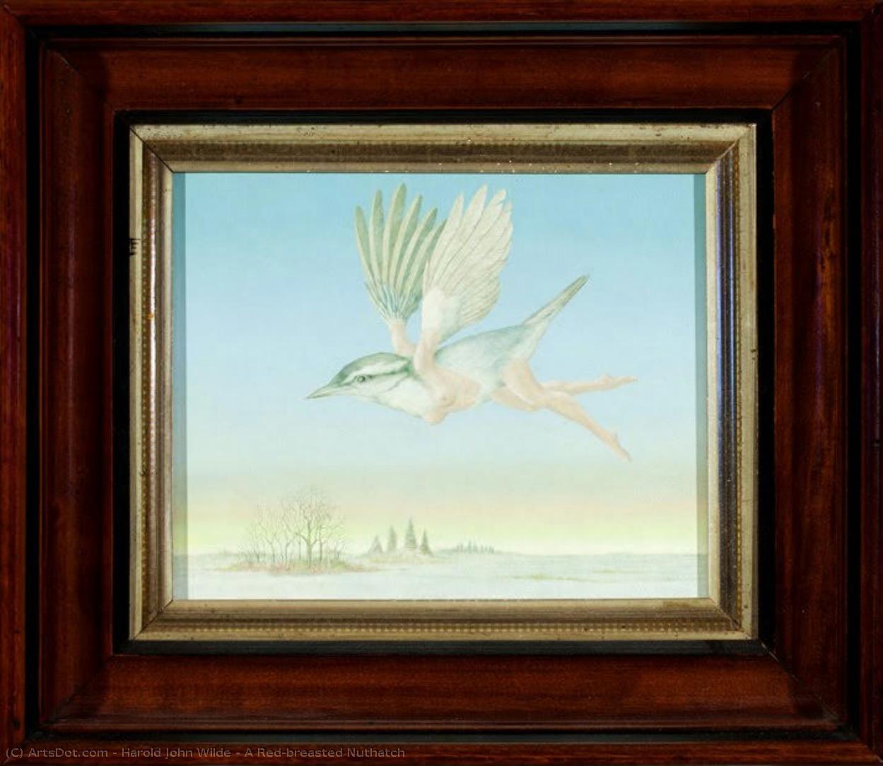 A Red-breasted Nuthatch — Harold John Wilde