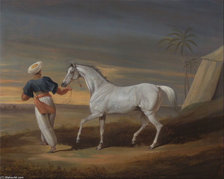 Signal, A Grey Arab, With A Groom In The Desert — David Of York Dalby