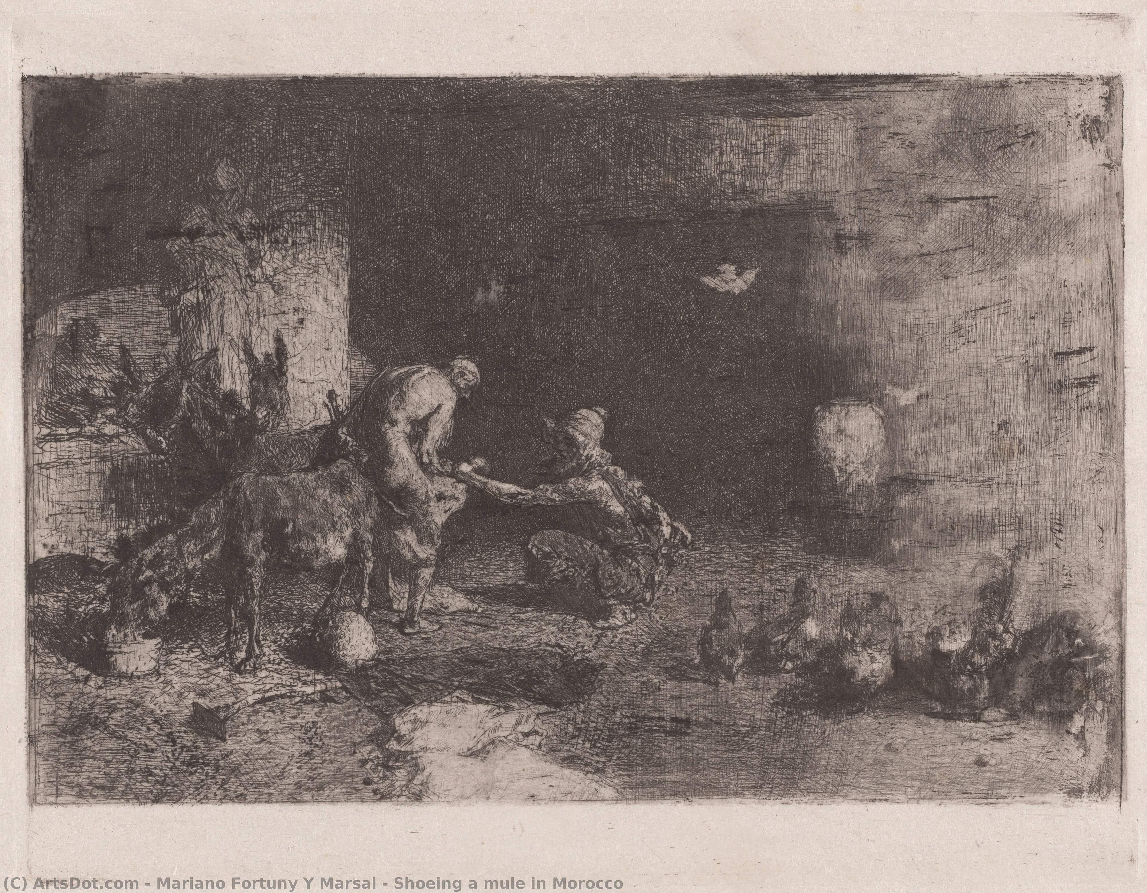 Shoeing A Mule In Morocco — Mariano Fortuny Y Marsal