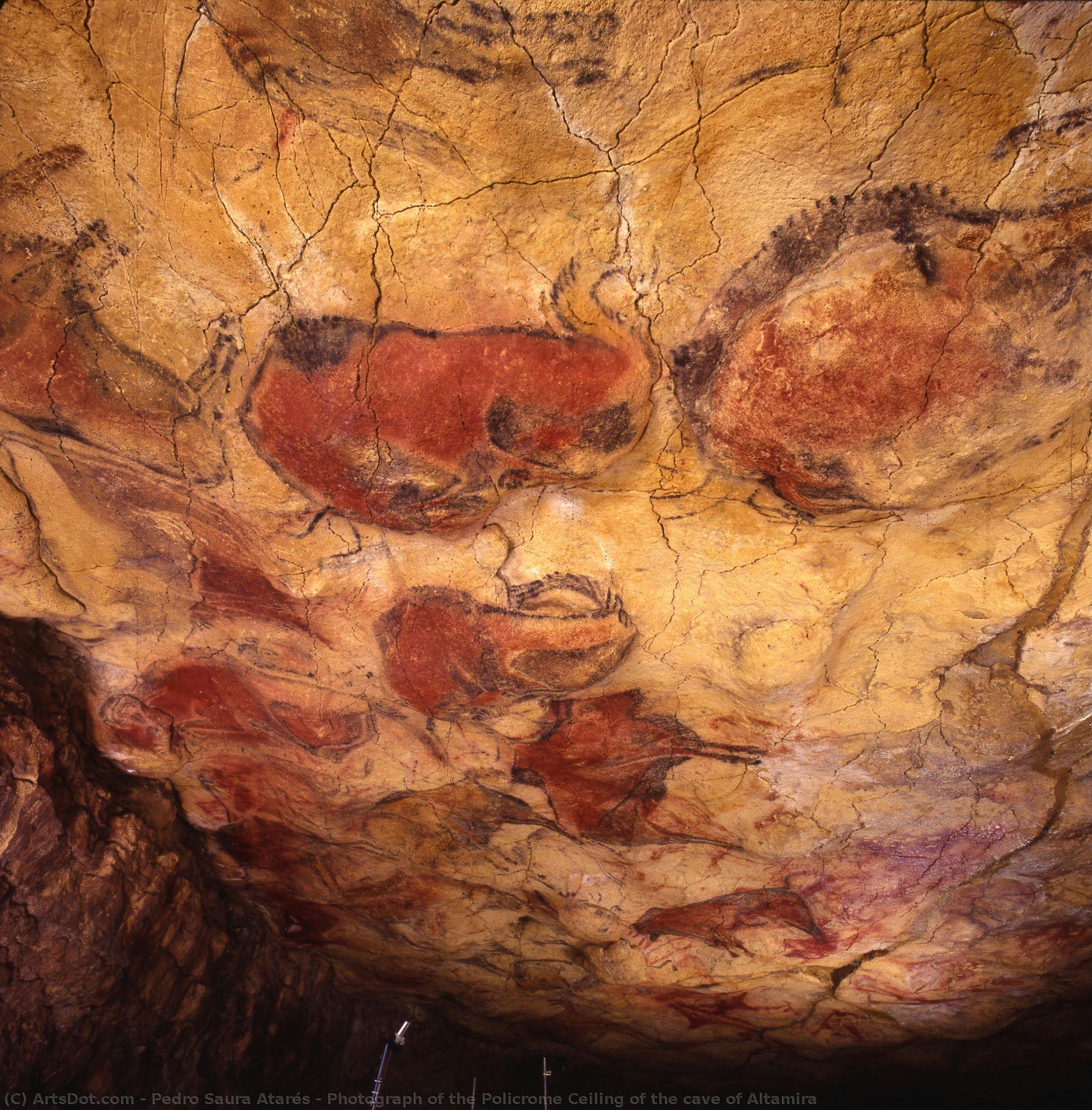 Fotografía Del Techo Policromado De La Cueva De Altamira — Pedro Saura Atarés