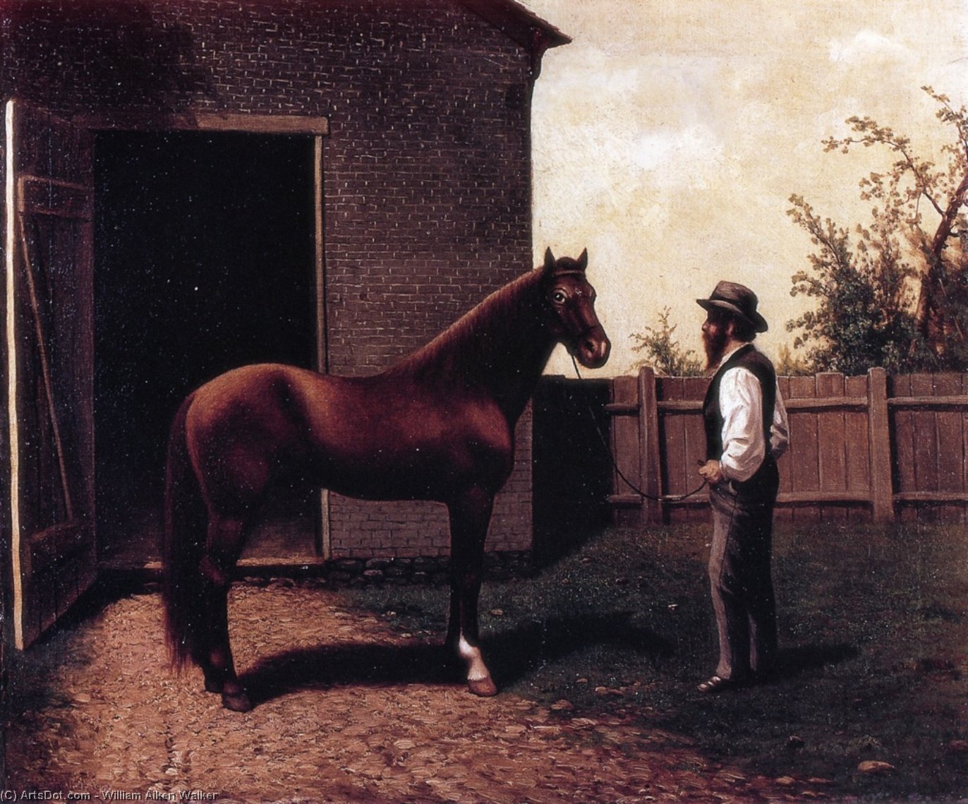 Dt. Diehl And Morgan Horse In Louisville Kentucky — Vilijam Ejkен Voker