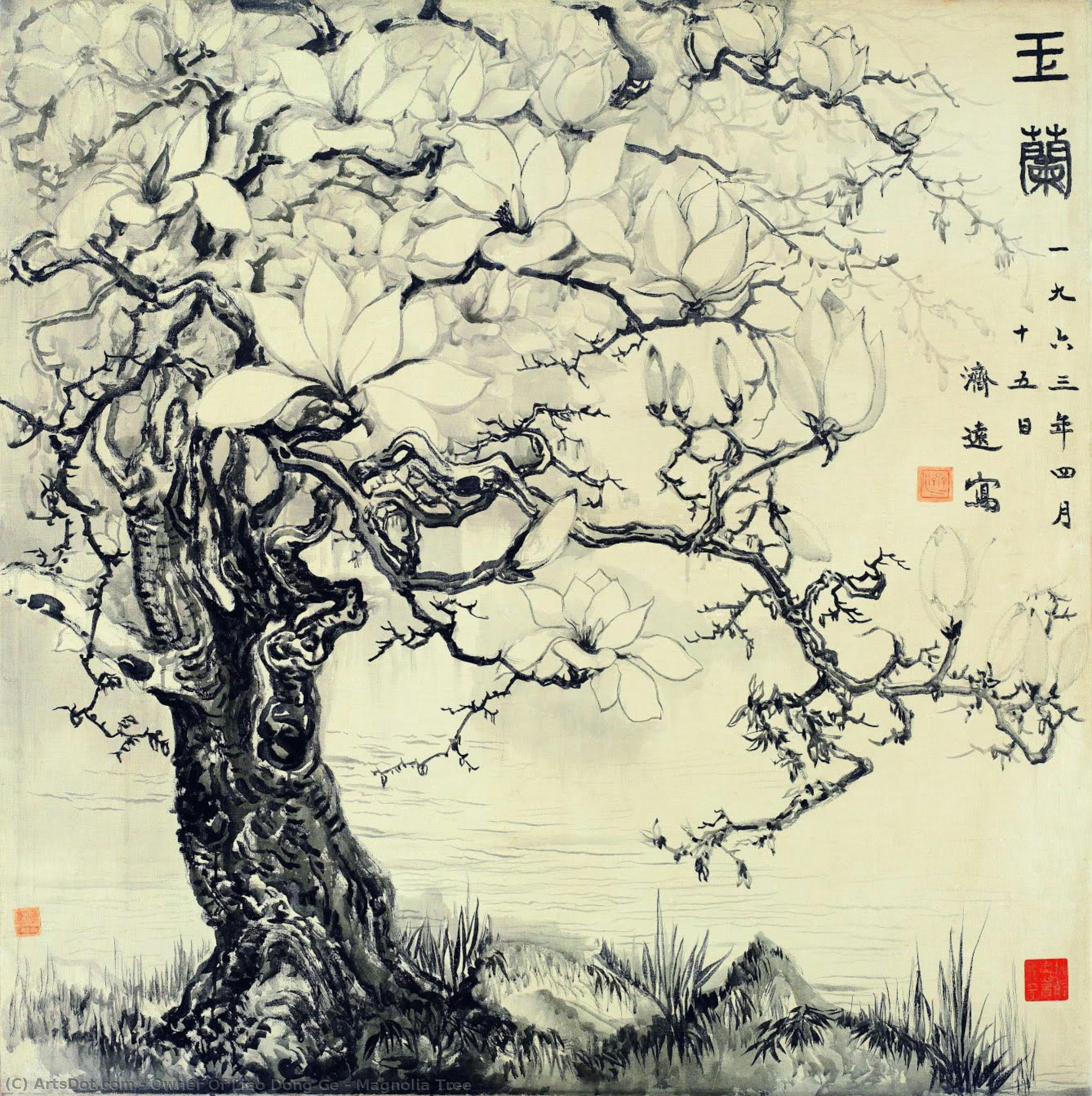 Magnolia Árbol — Dueño De Liao Dong Ge