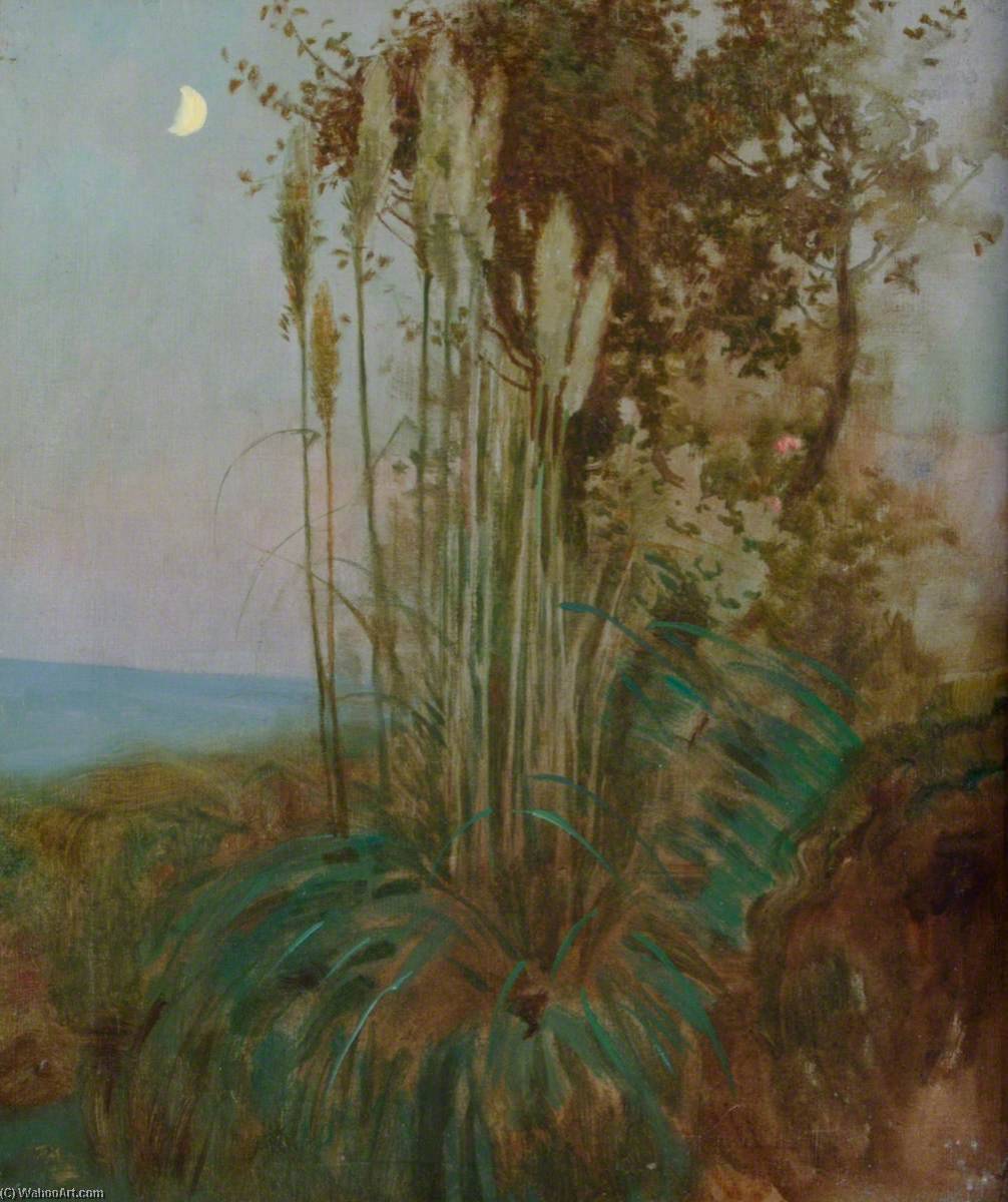 Rushes In Mediterranean Twilight — Benjamin Haughton