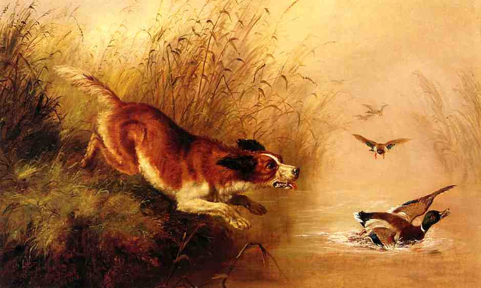 Spaniel Chasing Ducks — Arthur Fitzwilliam Tait