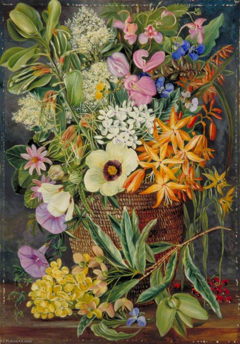 Flores De St Johns En Cesta De Pondo — Marianne North