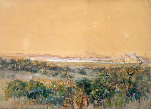 Arizona Desert, (painting) — Anna Huntington Stanley