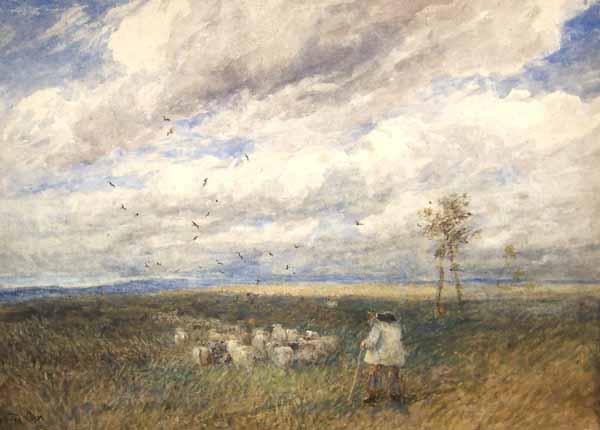 Driving Home The Flock — David Cox