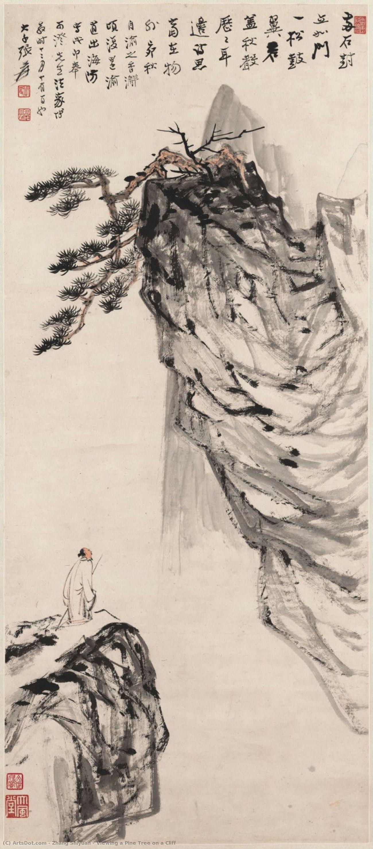 Viewing A Pine Tree On A Cliff — Zhang Shiyuan