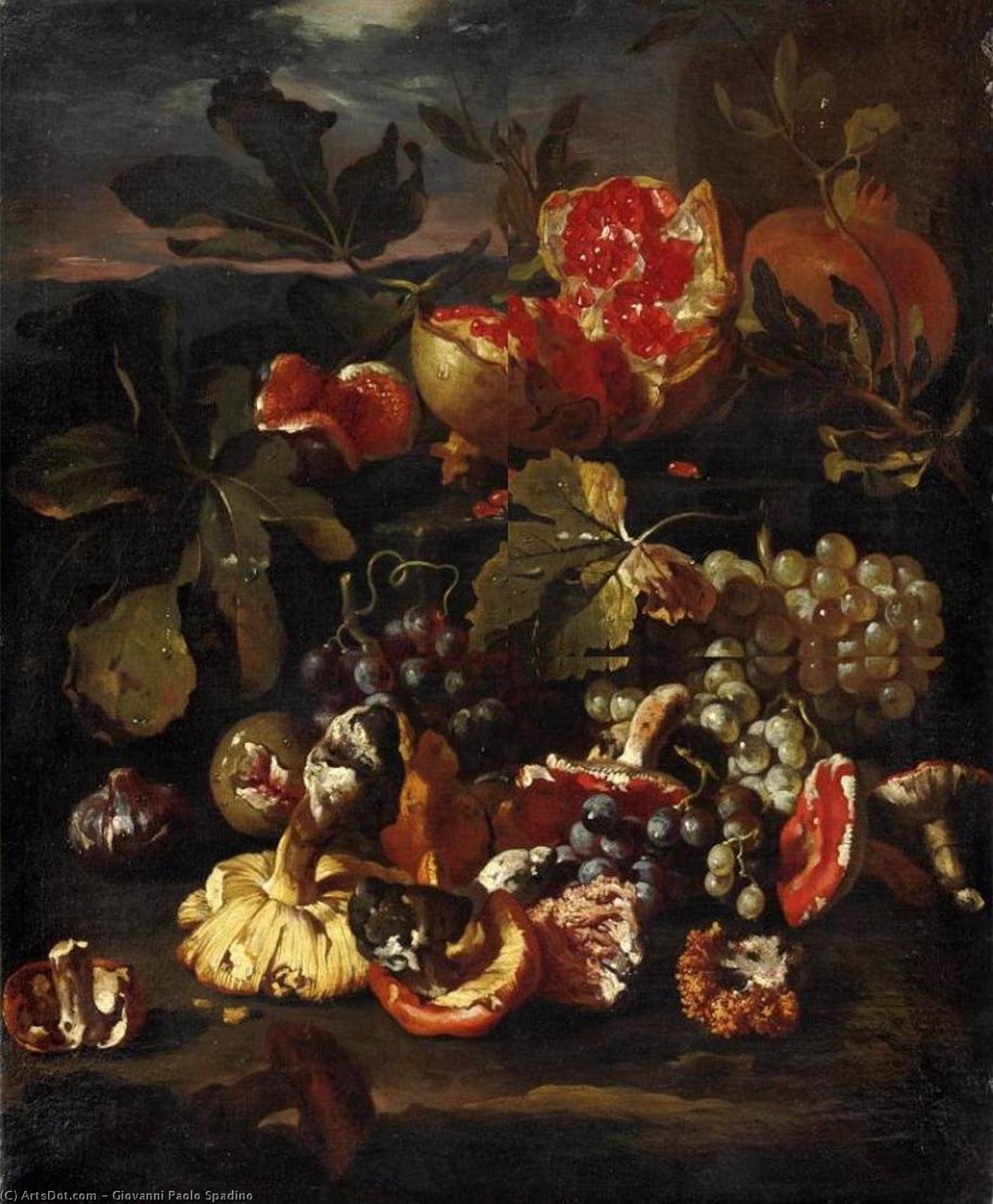 Still-life With Fruit — Giovanni Paolo Spadino
