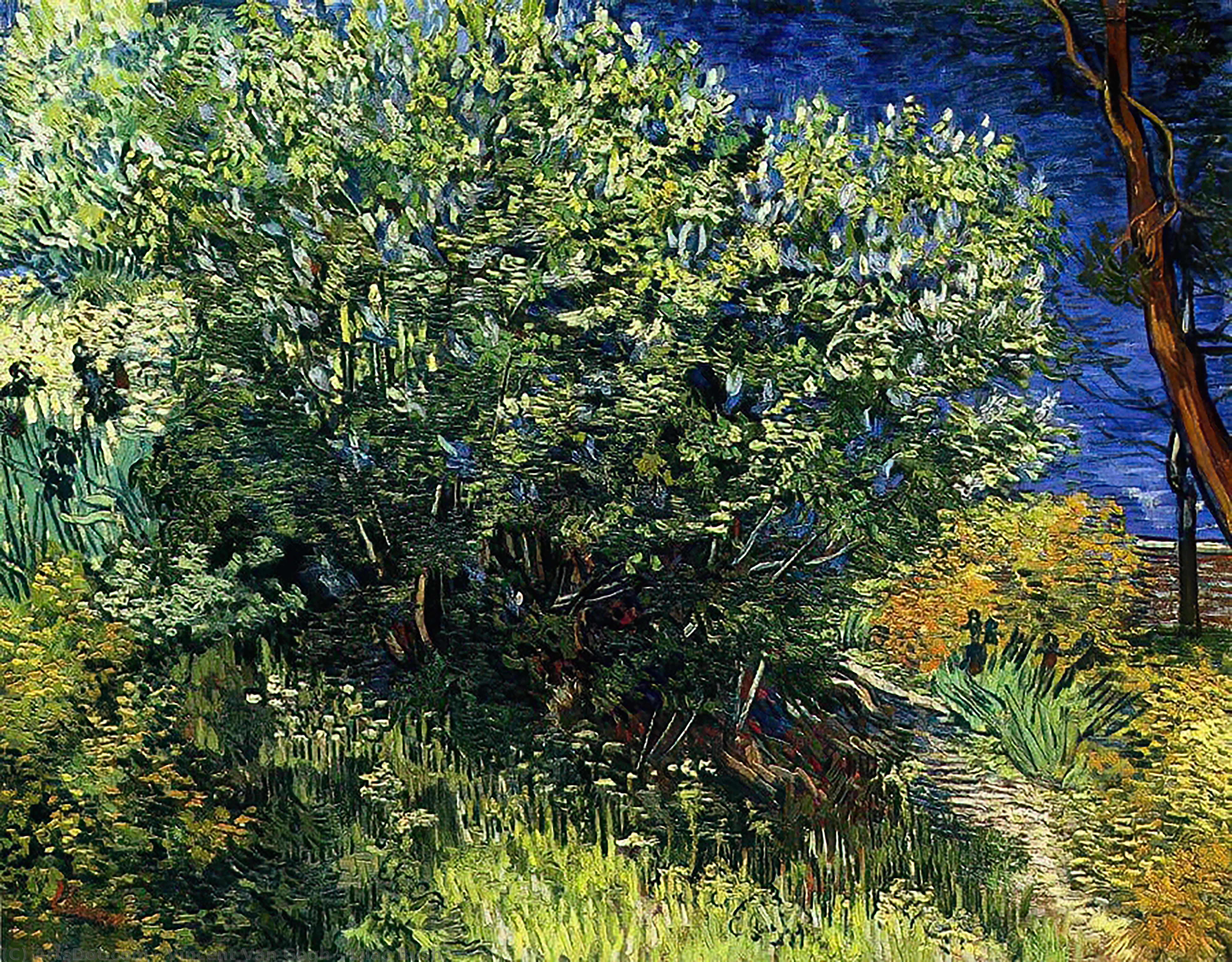 Lilac Bush — Vincent Willem Van Gogh