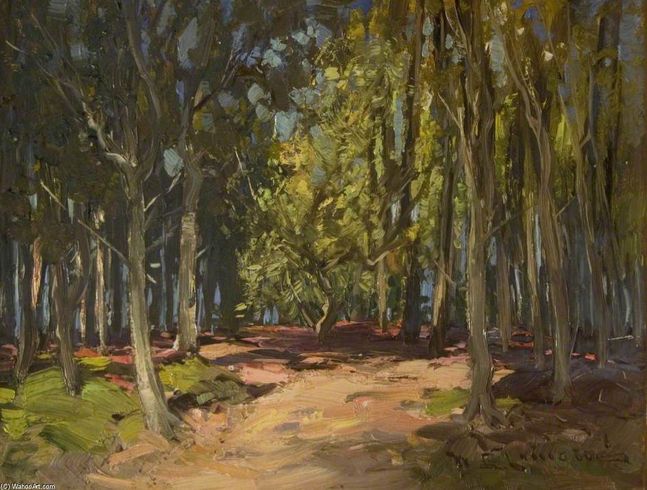Forest Track — William Bradley Lamond