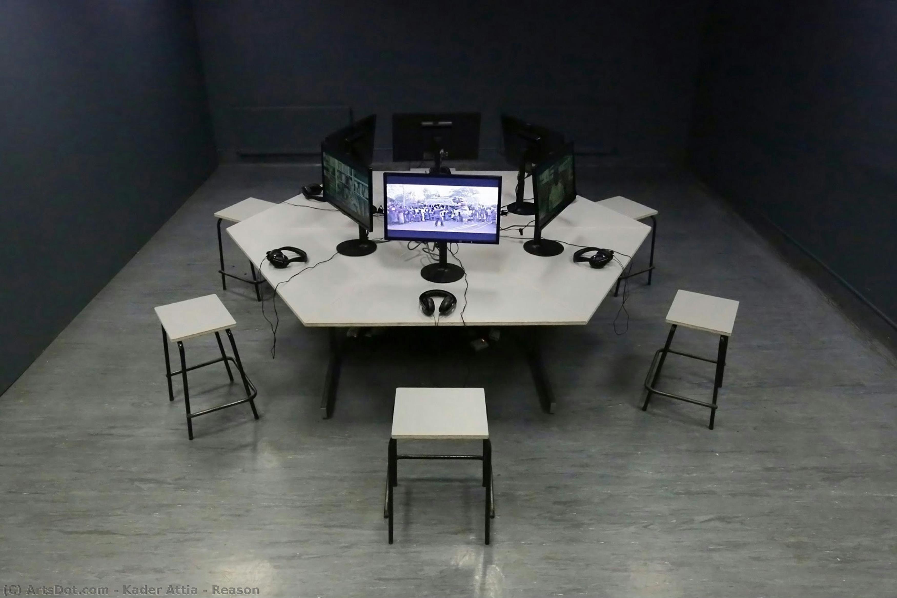 Reason — Kader Attia