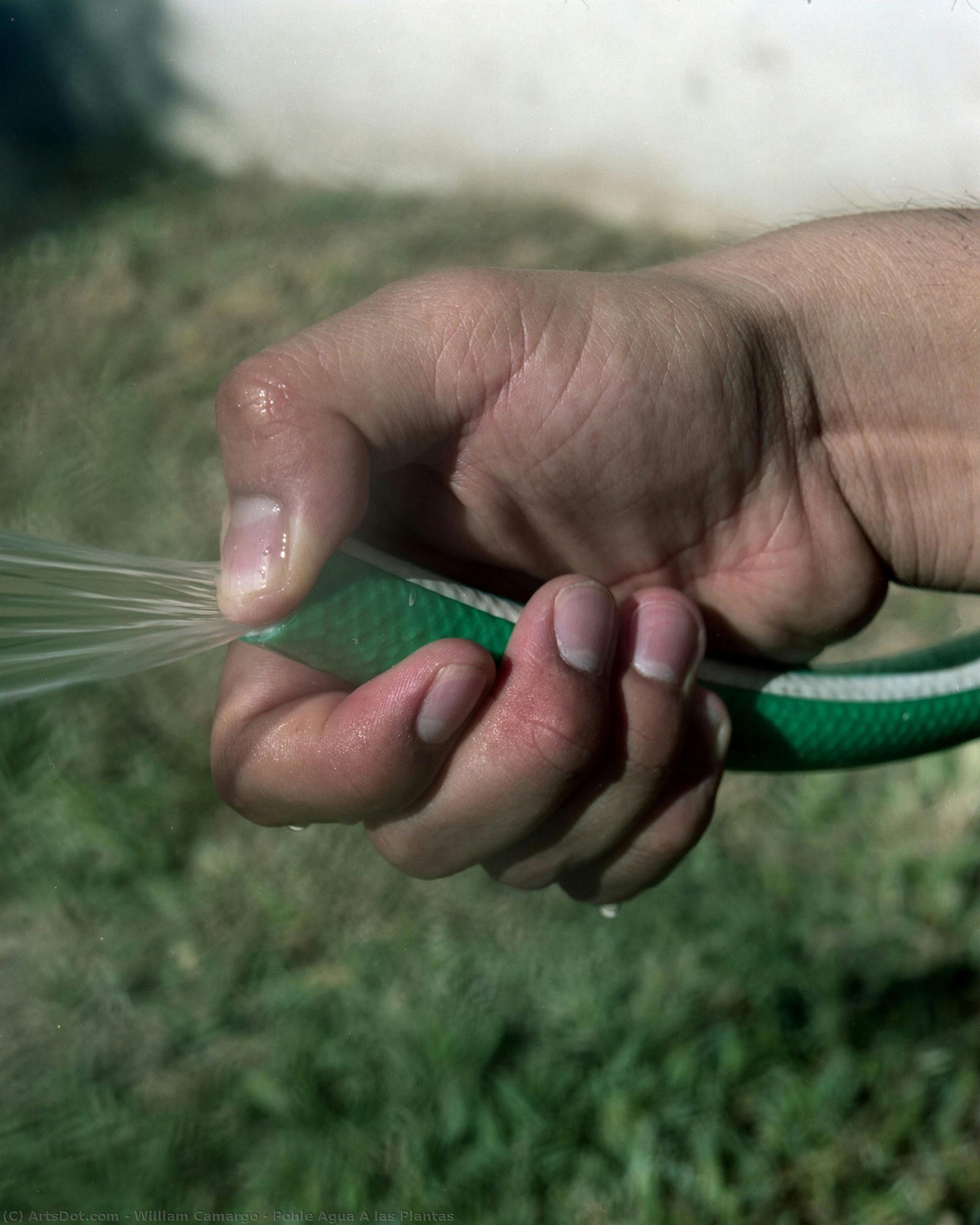 Ponle Agua A Las Plantas — William Camargo