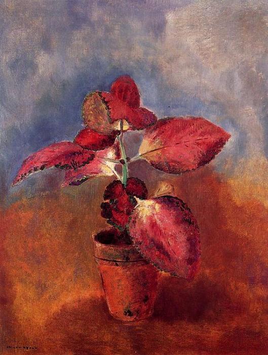 Begonia In A Pot — Odilon Redon