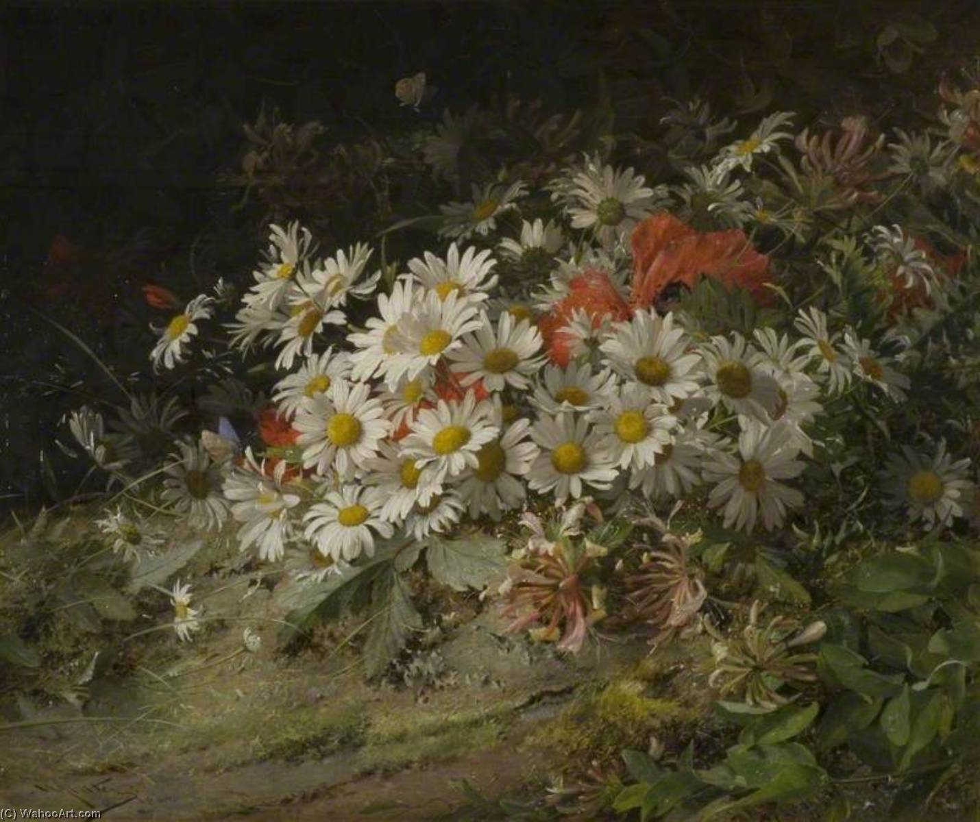 Wild Flowers — William Jabez Muckley
