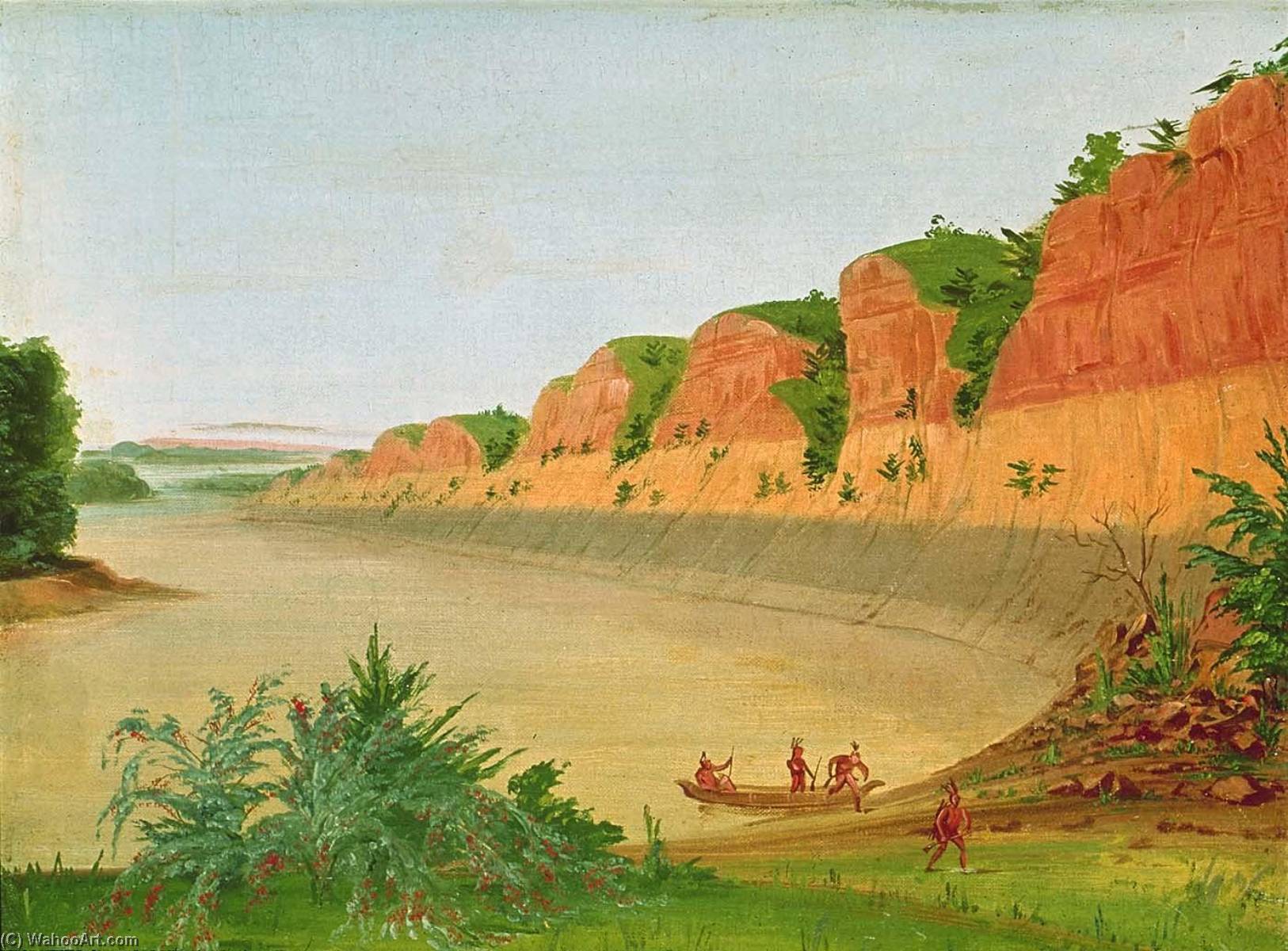 South Side Of Buffalo Island, Showing Buffalo Berries In The Foreground — George Catlin