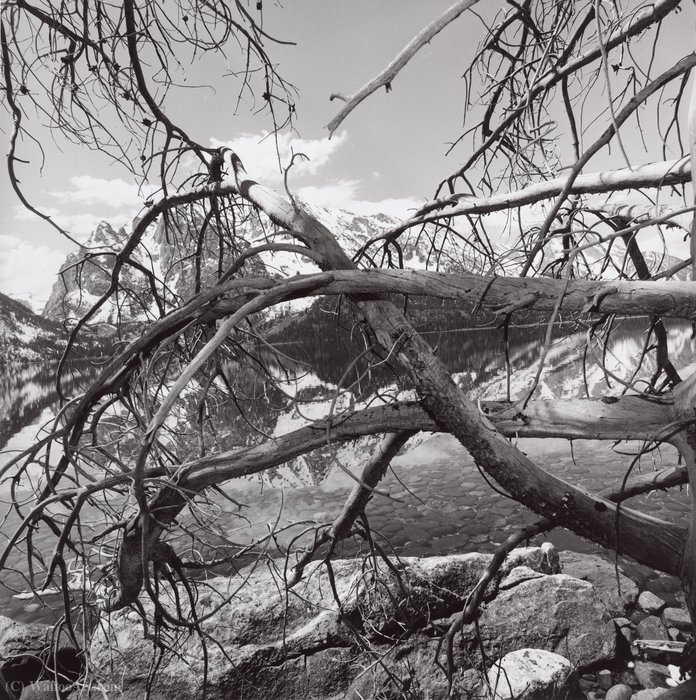 Grand Teton National Park, Wyoming — Lee Friedlander