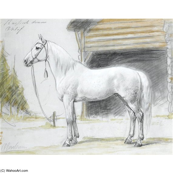 A Portrait Of A Horse — Otto Eerelman