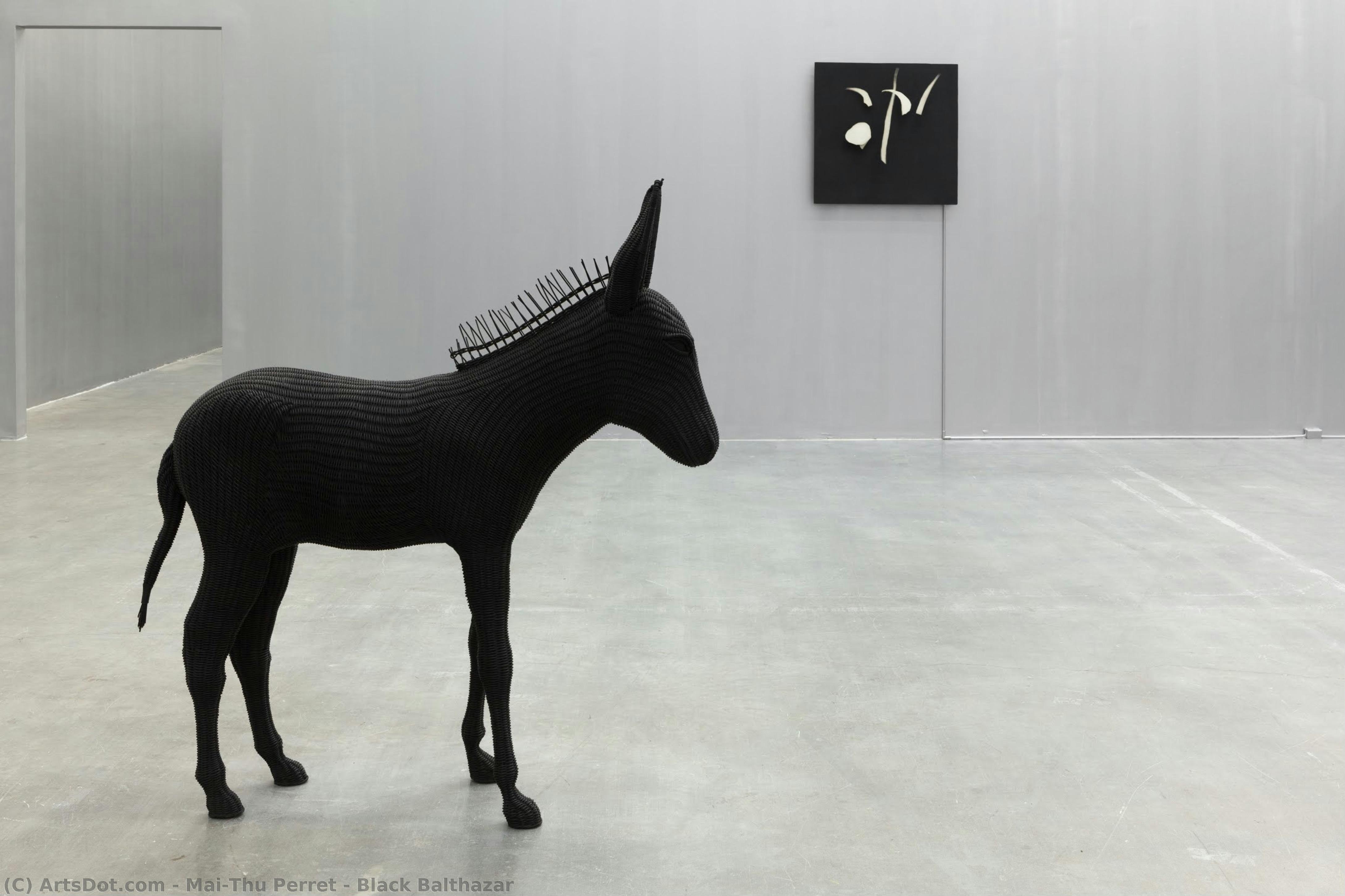 Black Balthazar — Mai-thu Perret