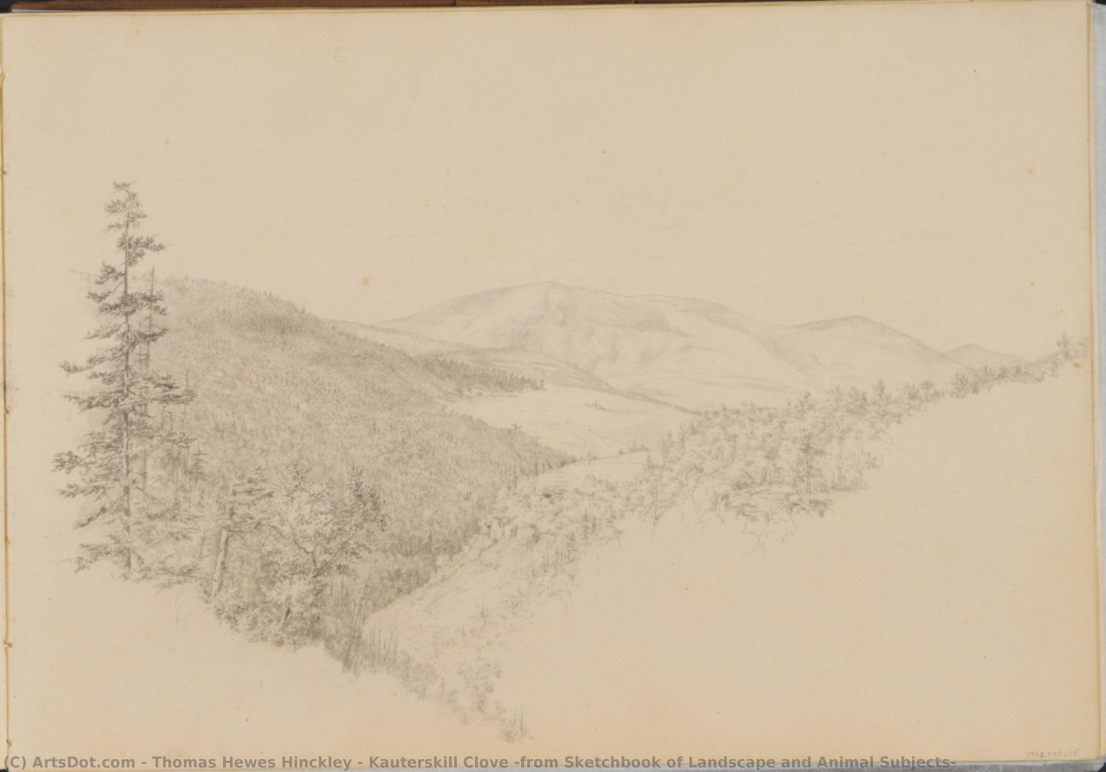 Kauterskill Clove (from Sketchbook Of Landscape And Animal Subjects) — Thomas Hewes Hinckley