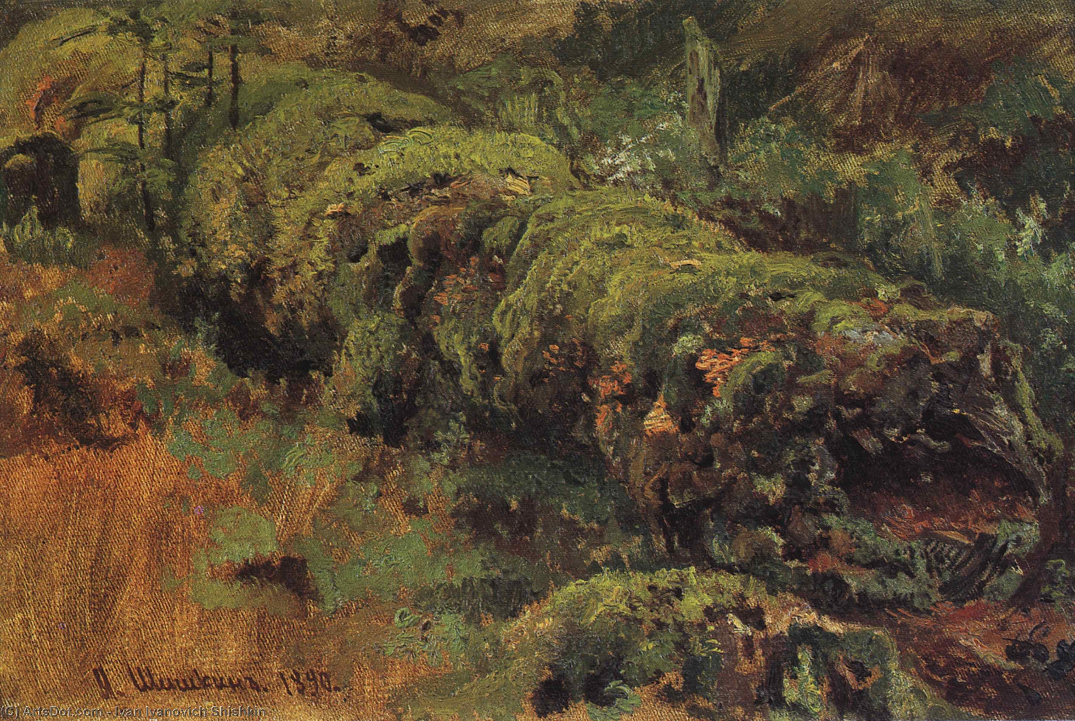 Rotten Wood, Covered With Moss — Ivan Ivanovich Shishkin