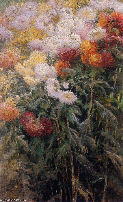 Clump Of Chrysanthemums Garden At Petit Gennevilliers — Gustave Caillebotte