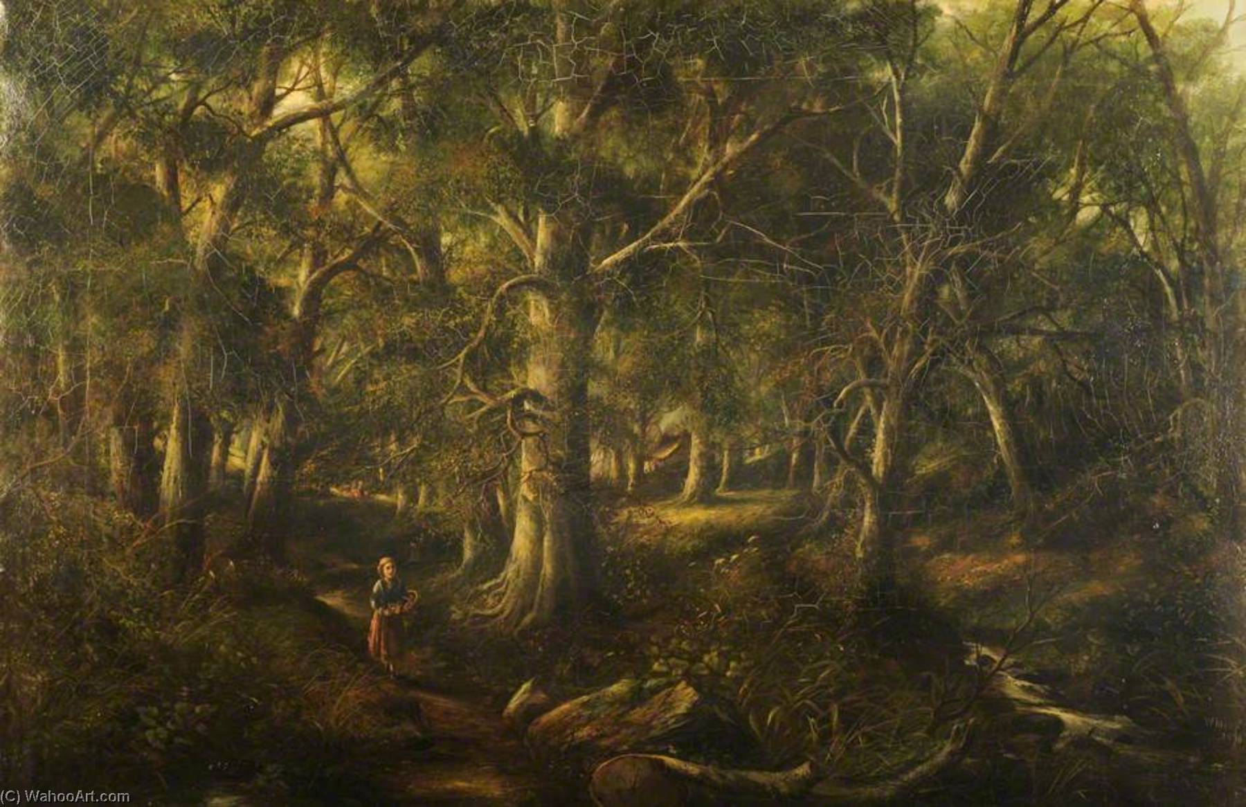 Forest Scene, Ayrshire — William Muir