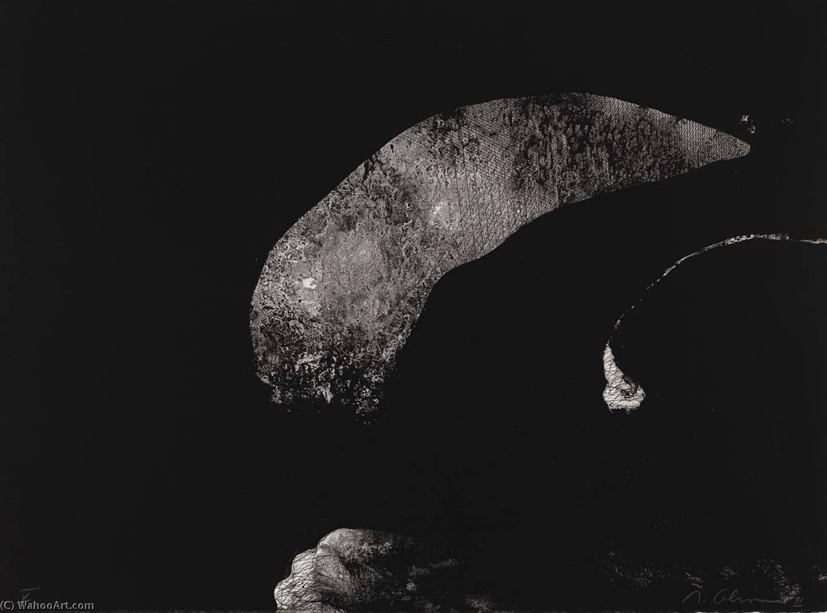 Edgar Allan Poe V, From The Suite To Edgar Allan Poe — Nathan Oliveira