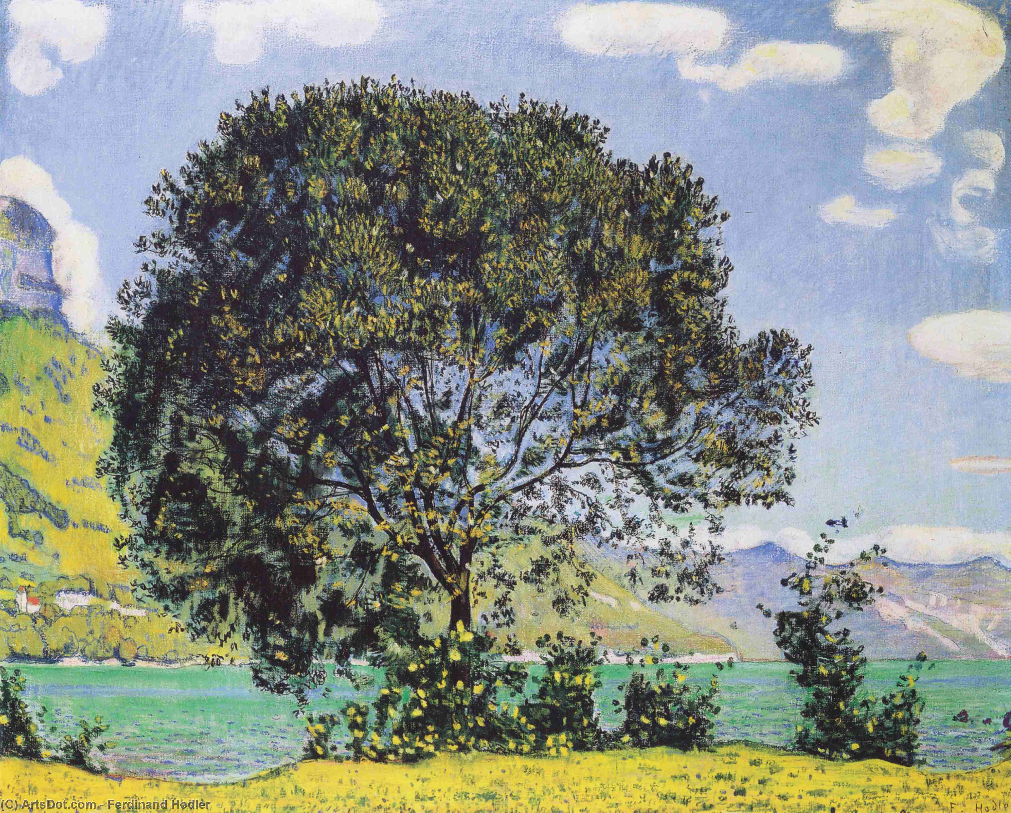 View Of The Horn Of Fromberg From Reichenbach — Ferdinand Hodler