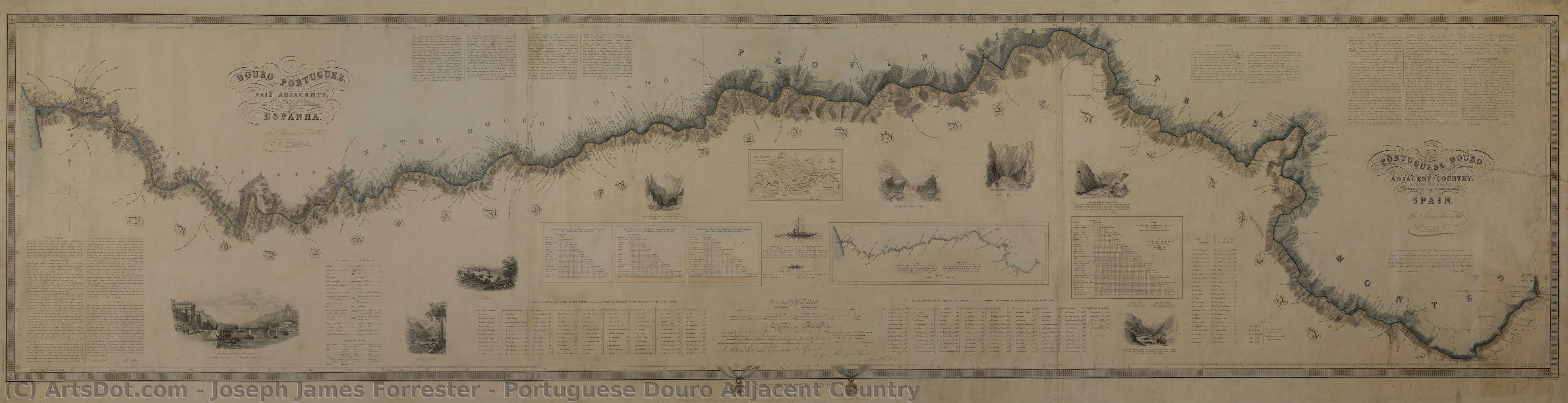 Portuguese Douro Adjacent Country — Joseph James Forrester