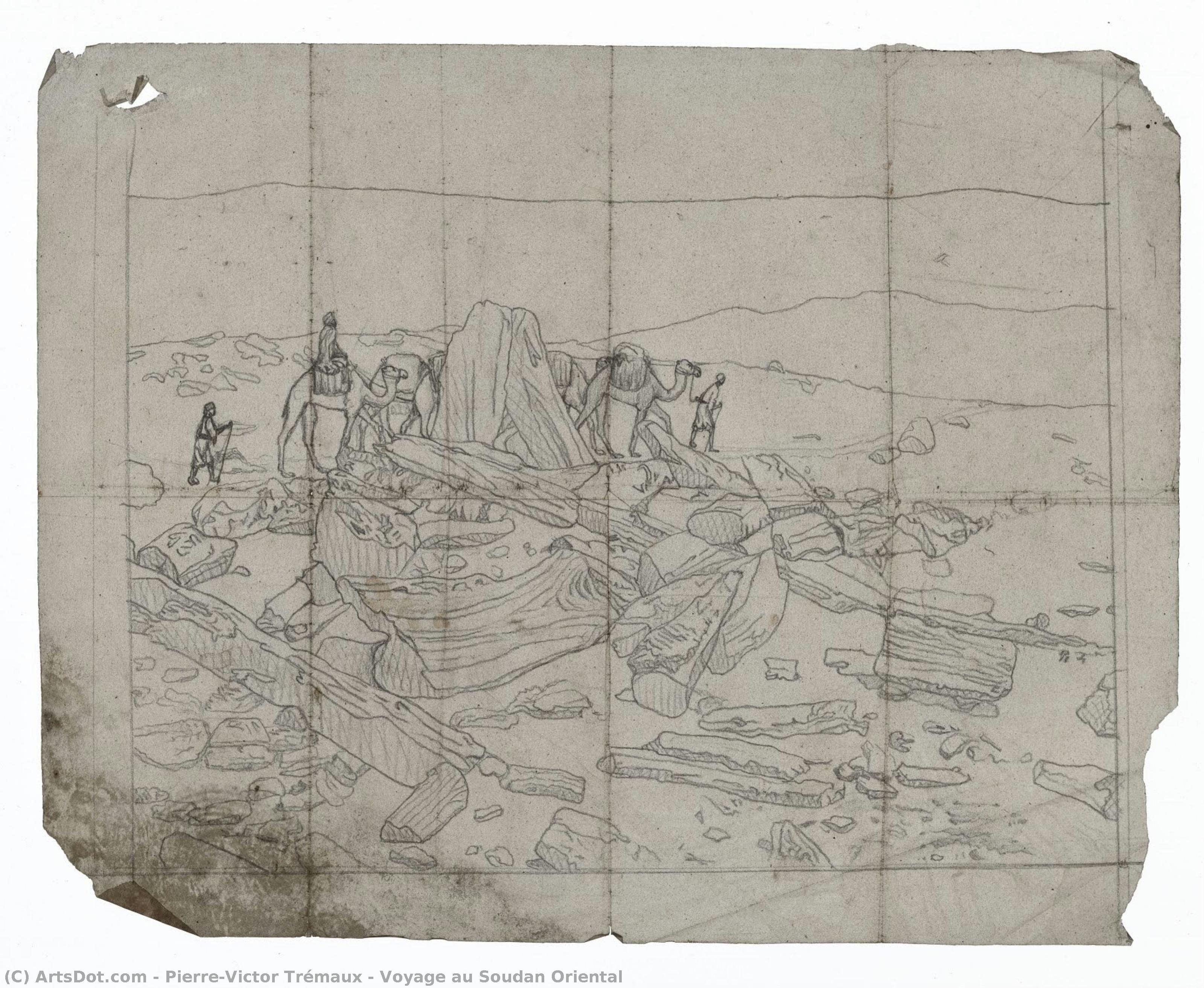 Voyage Au Soudan Oriental — Pierre-victor Trémaux